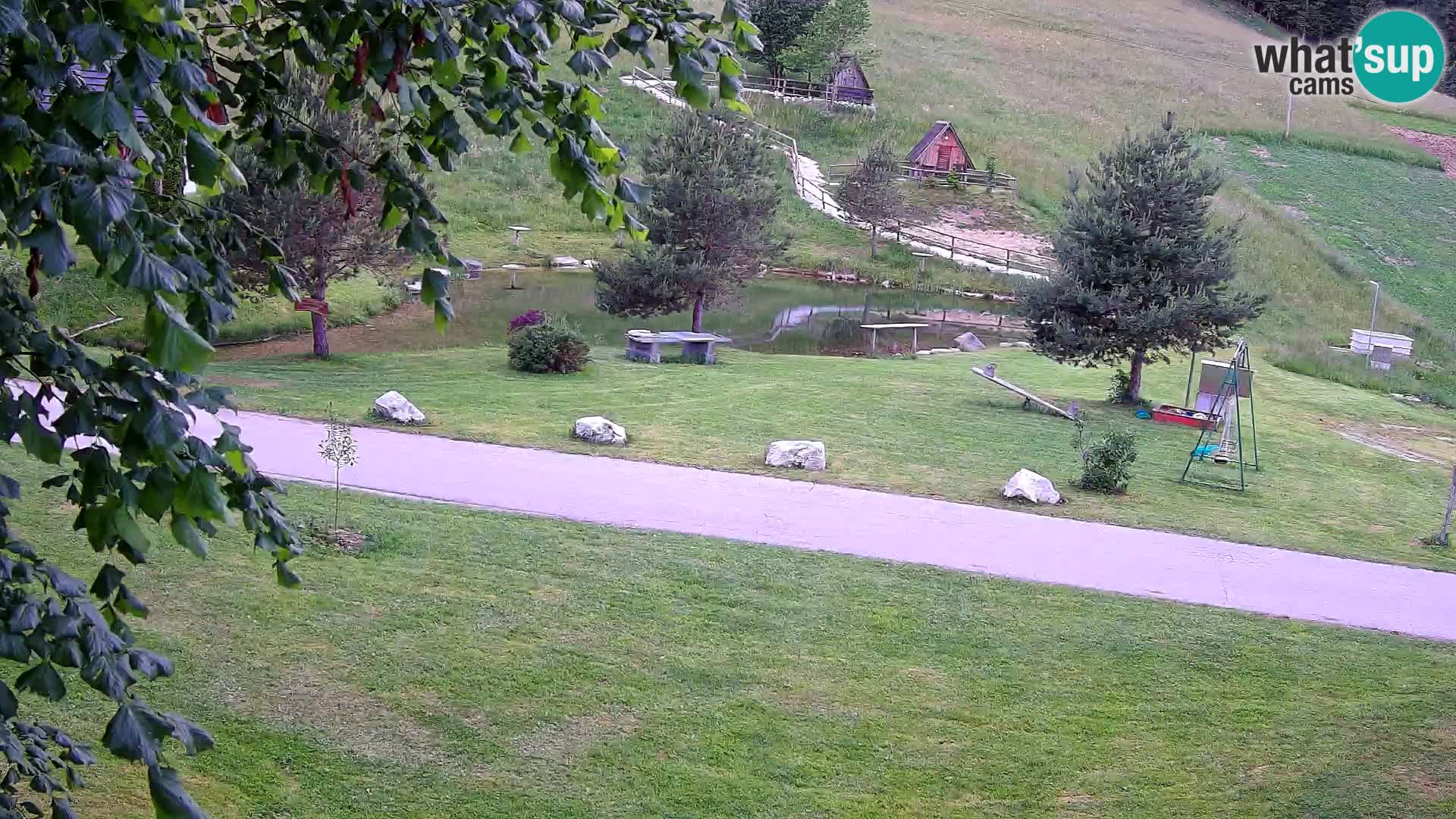 Pond at the Pr’Vrhovc Homestead Webcam