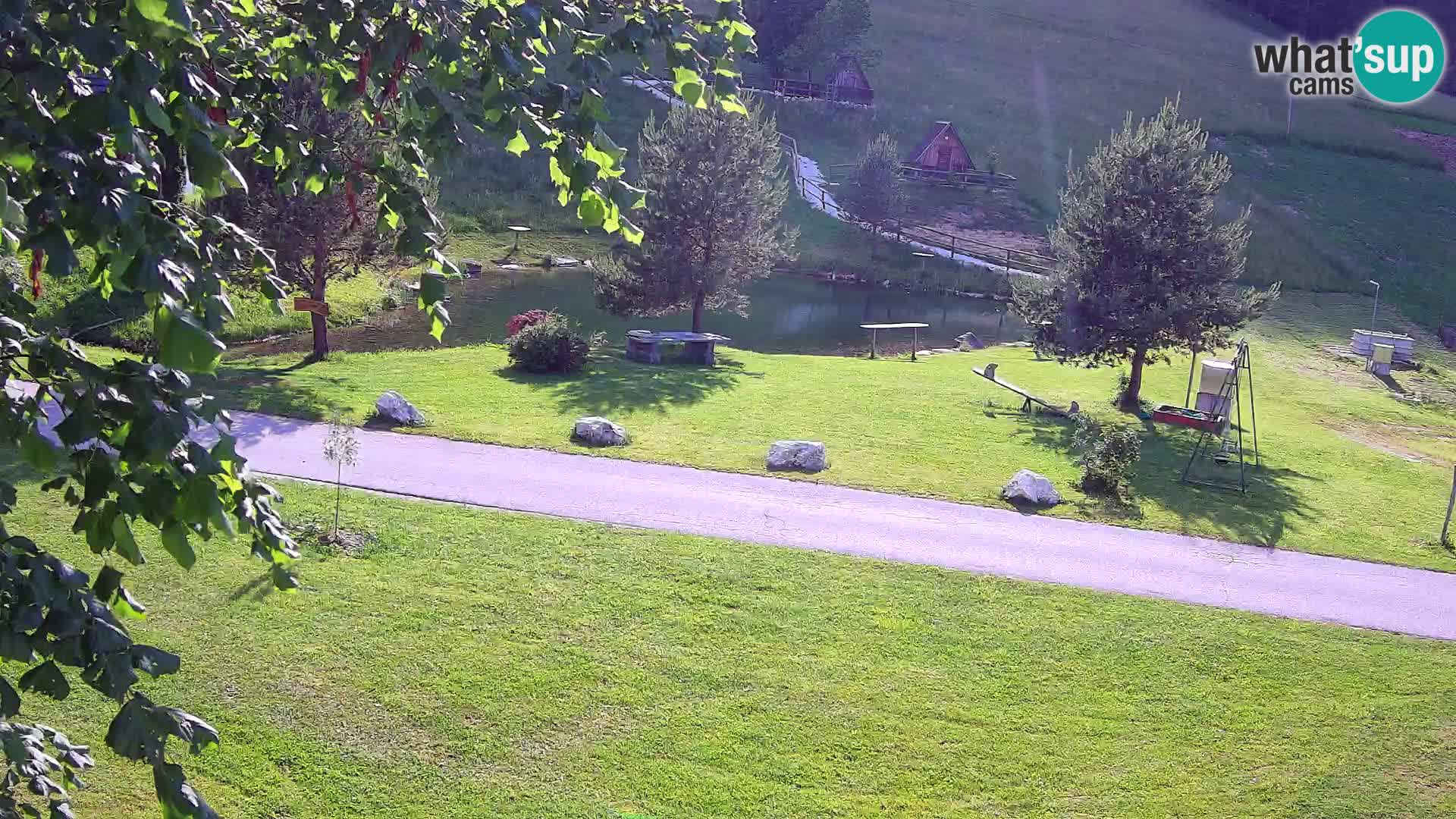 Teich auf dem Bauernhof Pr’Vrhovc | Webkamera