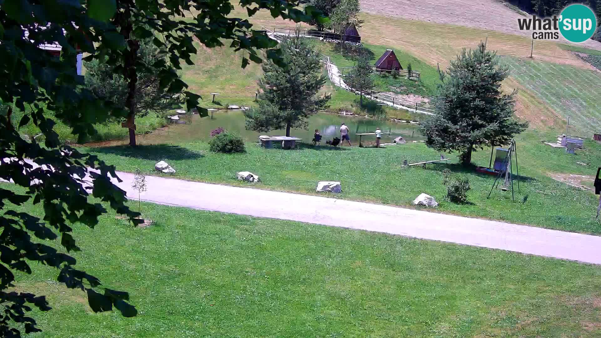 Pond at the Pr’Vrhovc Homestead Webcam