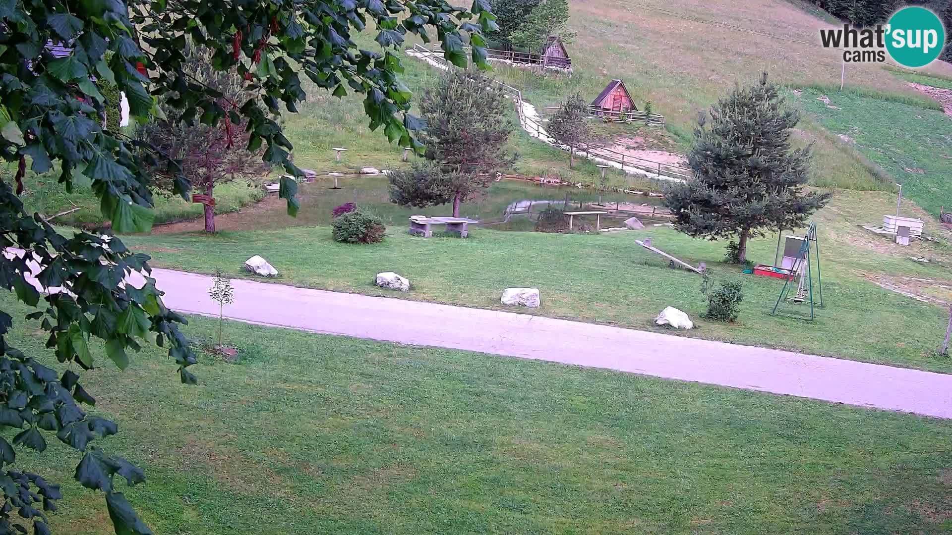 Pond at the Pr’Vrhovc Homestead Webcam