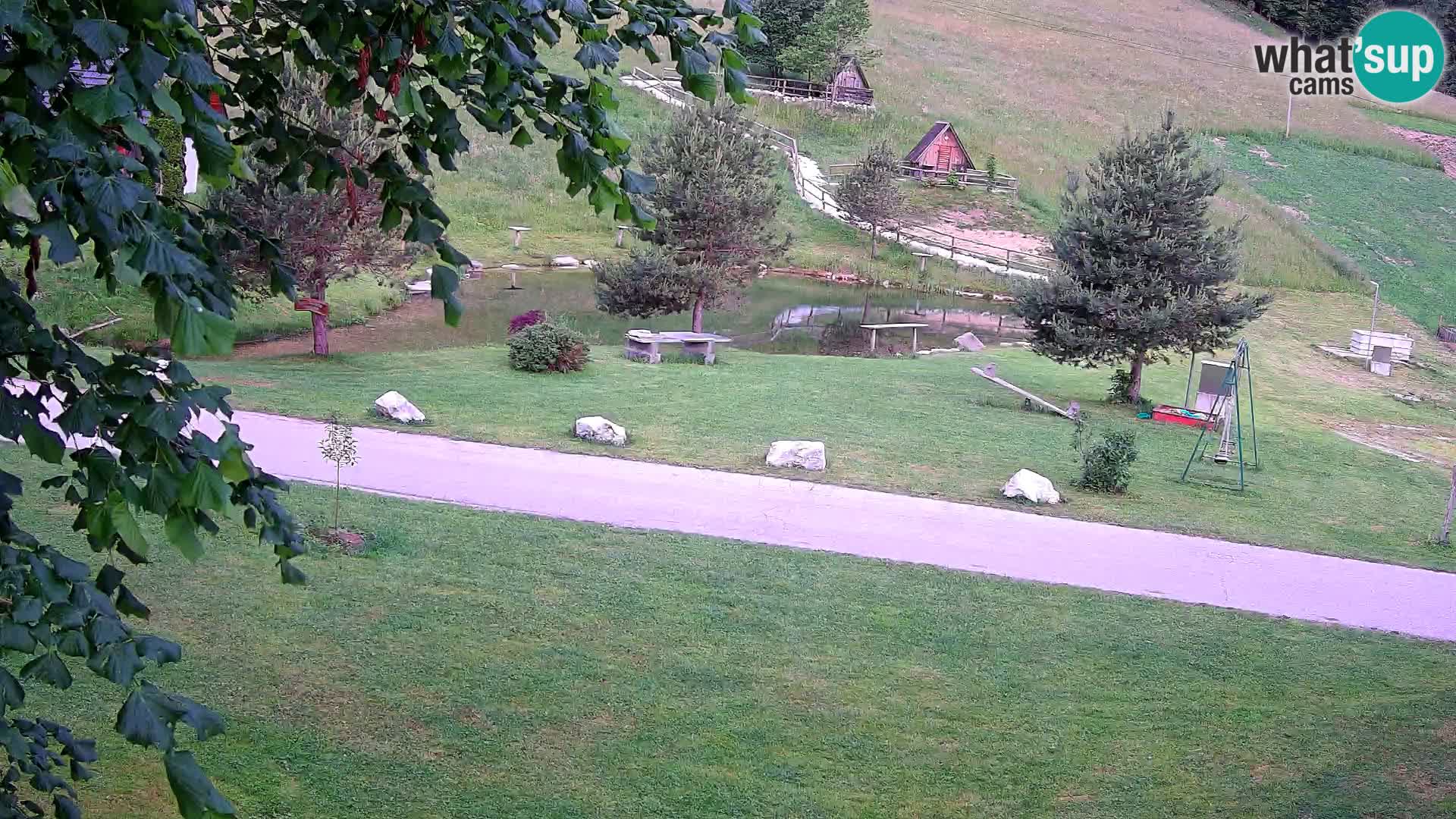 Pond at the Pr’Vrhovc Homestead Webcam