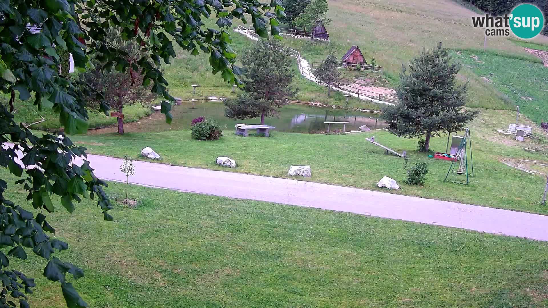 Stagno presso la Fattoria turistica Pr’Vrhovc | webcam in diretta