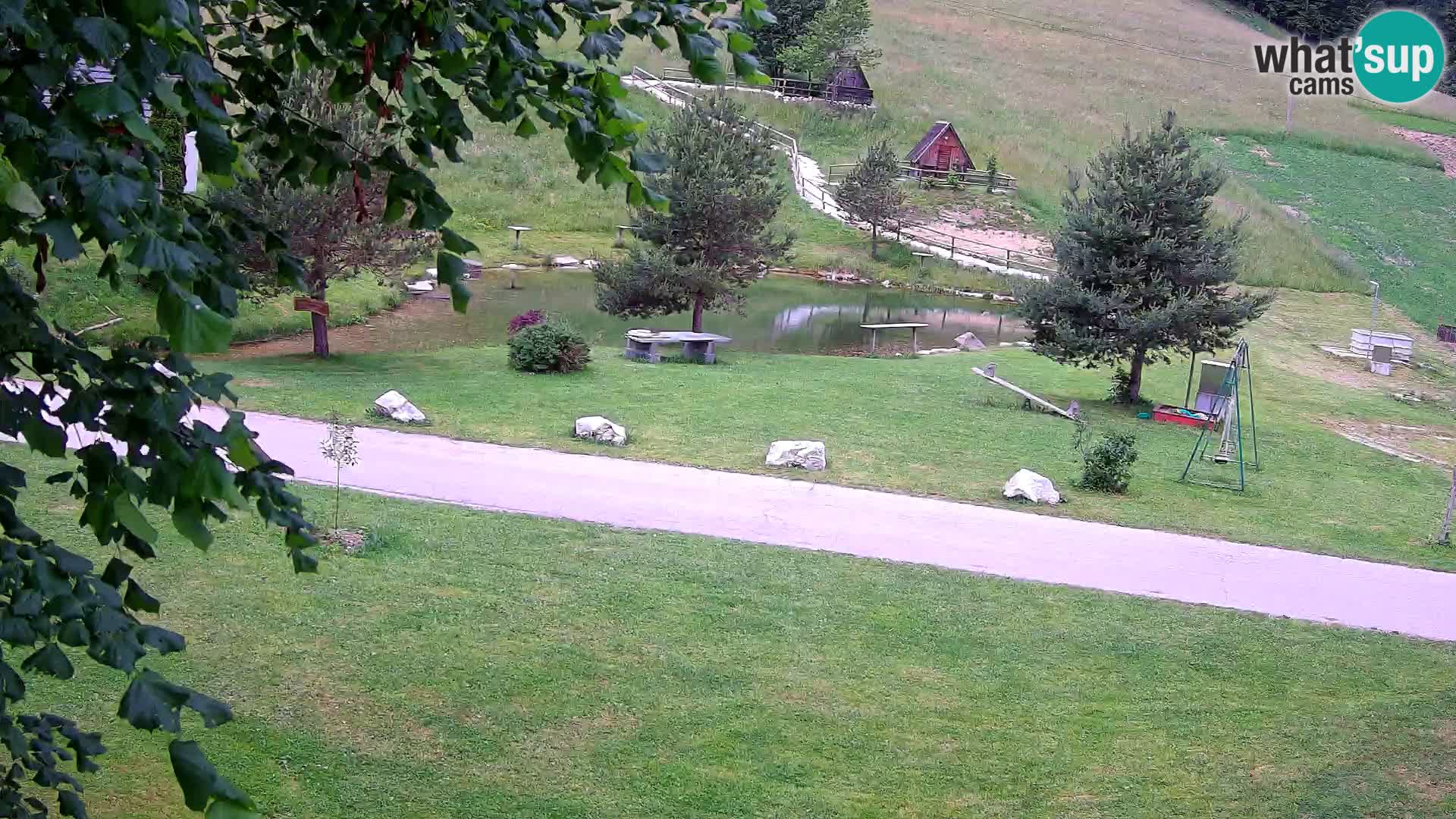 Stagno presso la Fattoria turistica Pr’Vrhovc | webcam in diretta