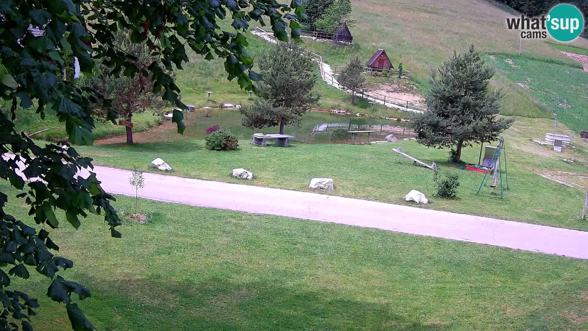 Teich auf dem Bauernhof Pr’Vrhovc | Webkamera