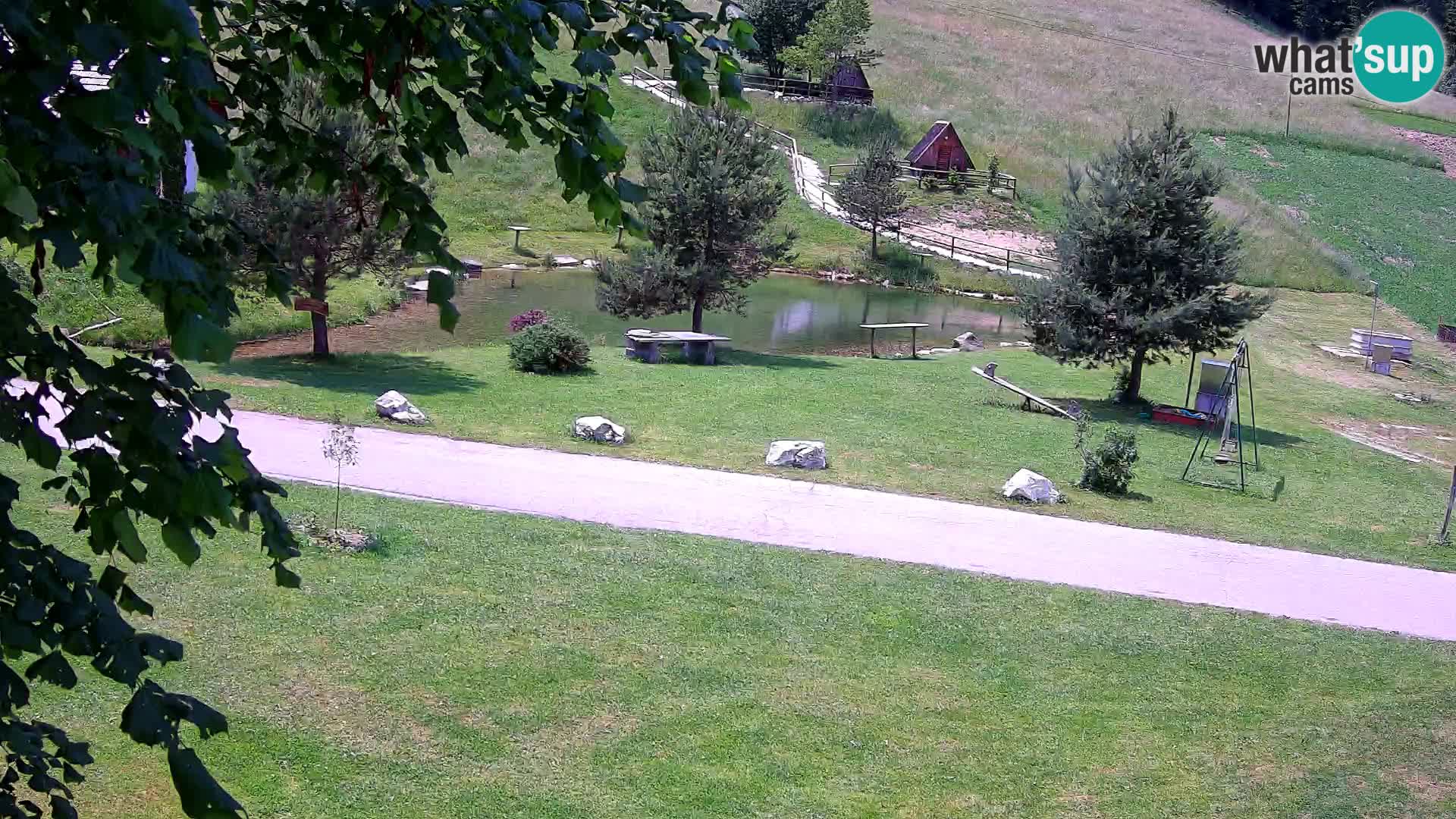 Teich auf dem Bauernhof Pr’Vrhovc | Webkamera
