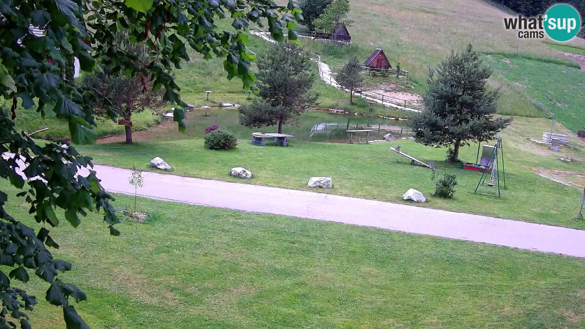 Teich auf dem Bauernhof Pr’Vrhovc | Webkamera