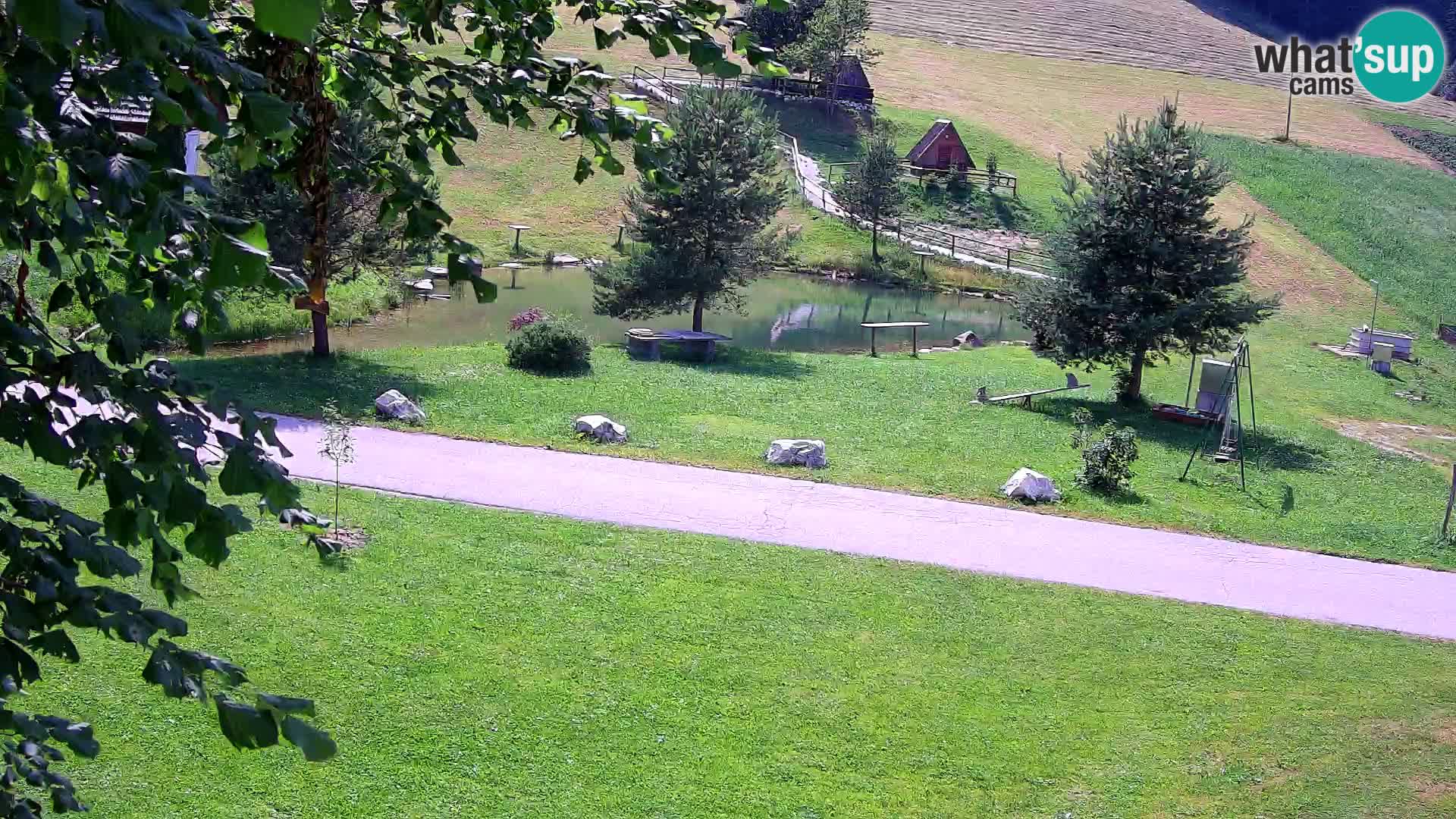 Ribnjak na domaćinstvu Pr’Vrhovc | Web kamera