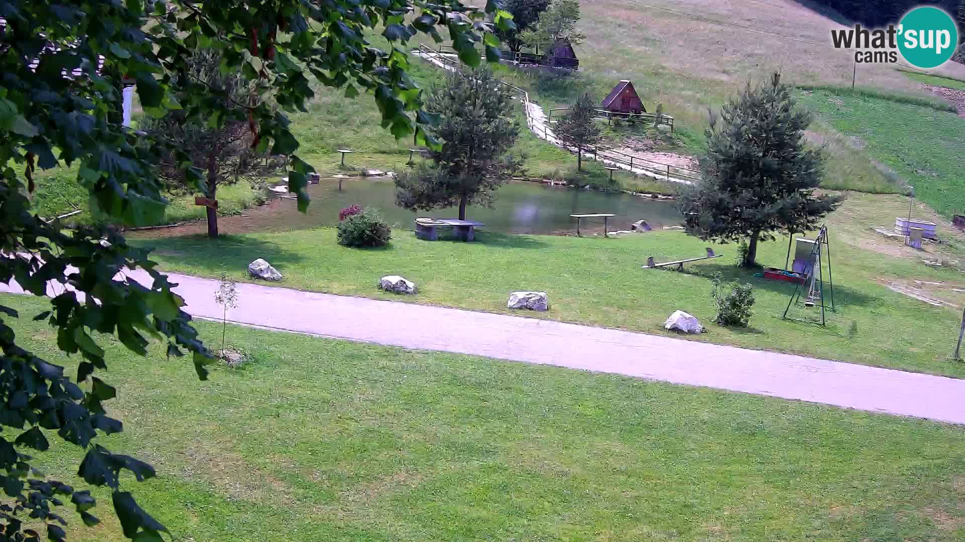 Teich auf dem Bauernhof Pr’Vrhovc | Webkamera