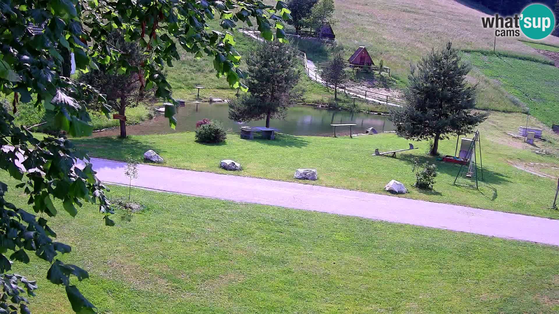 Étang à la ferme Pr’Vrhovc | Caméra en direct