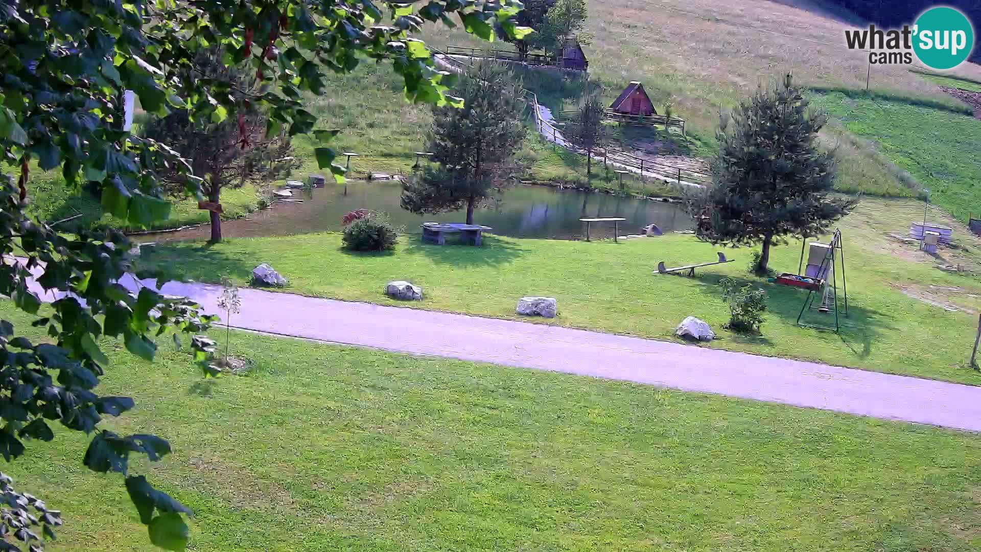 Teich auf dem Bauernhof Pr’Vrhovc | Webkamera