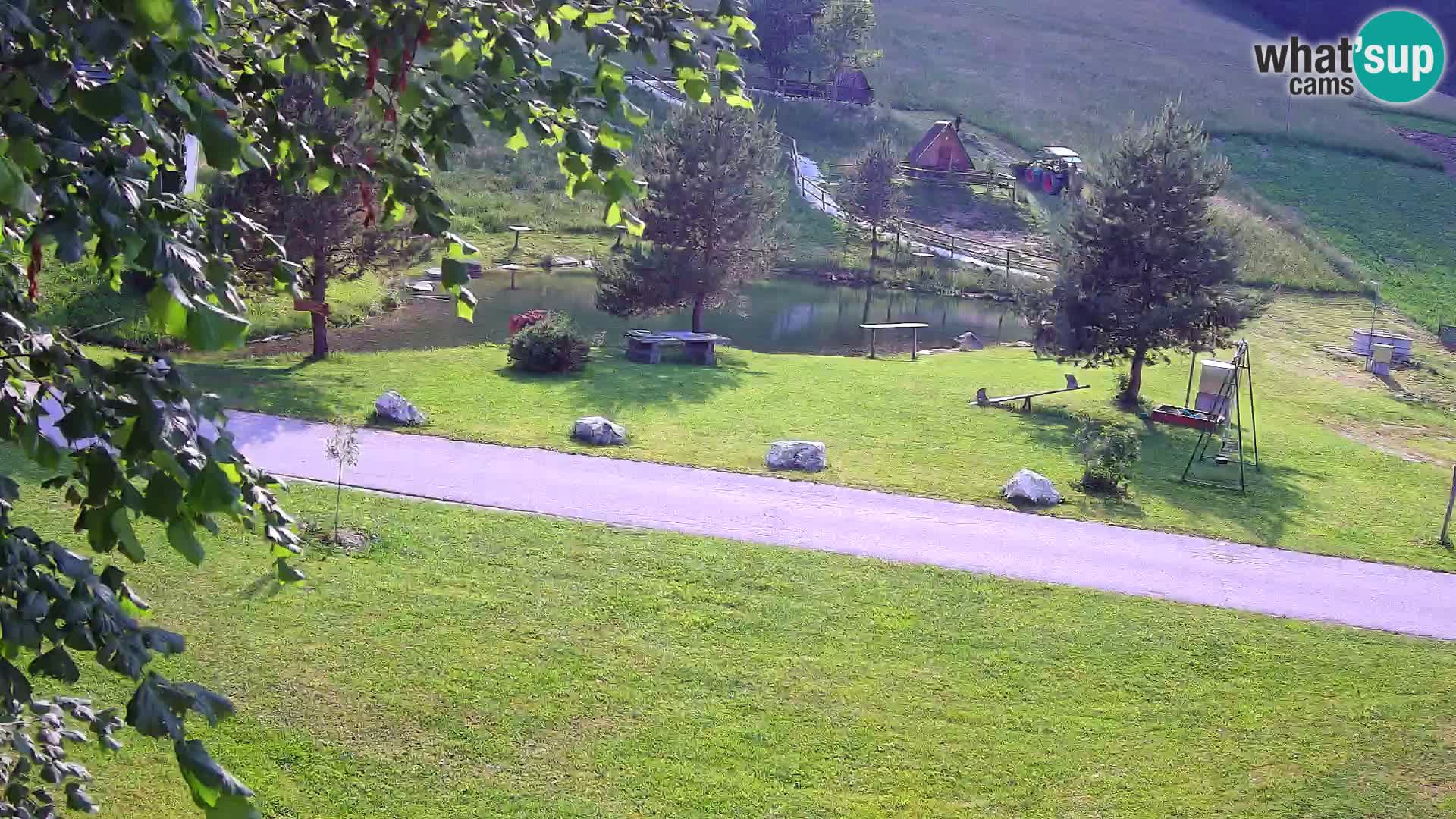 Teich auf dem Bauernhof Pr’Vrhovc | Webkamera