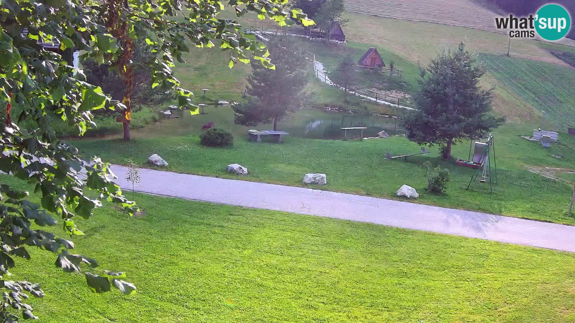 Stagno presso la Fattoria turistica Pr’Vrhovc | webcam in diretta