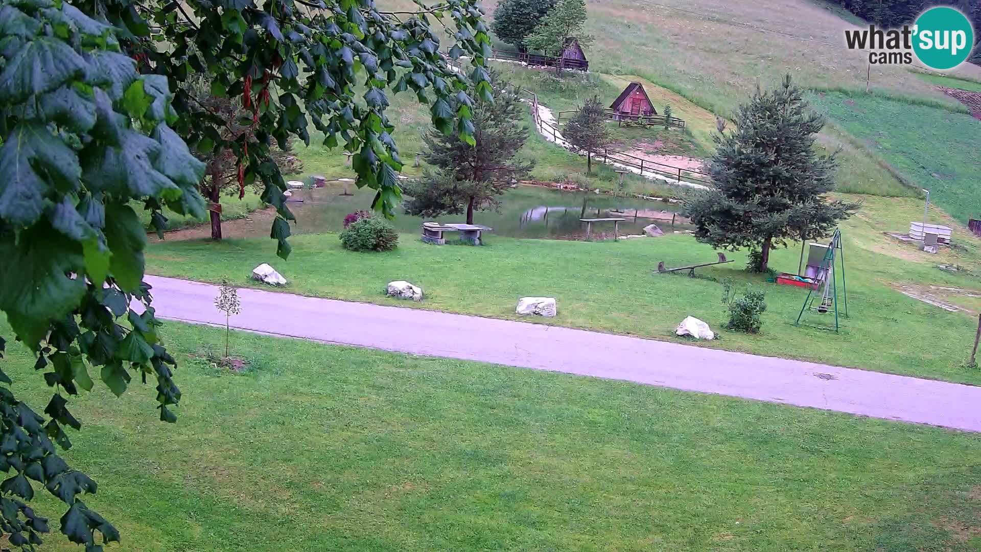 Teich auf dem Bauernhof Pr’Vrhovc | Webkamera