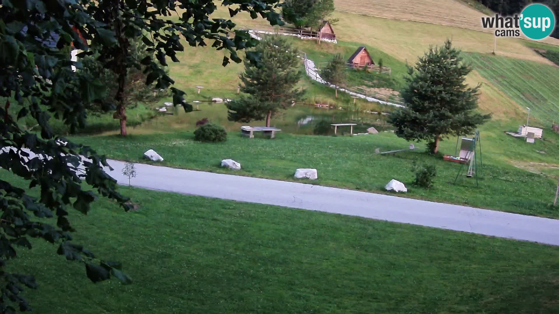 Pond at the Pr’Vrhovc Homestead Webcam