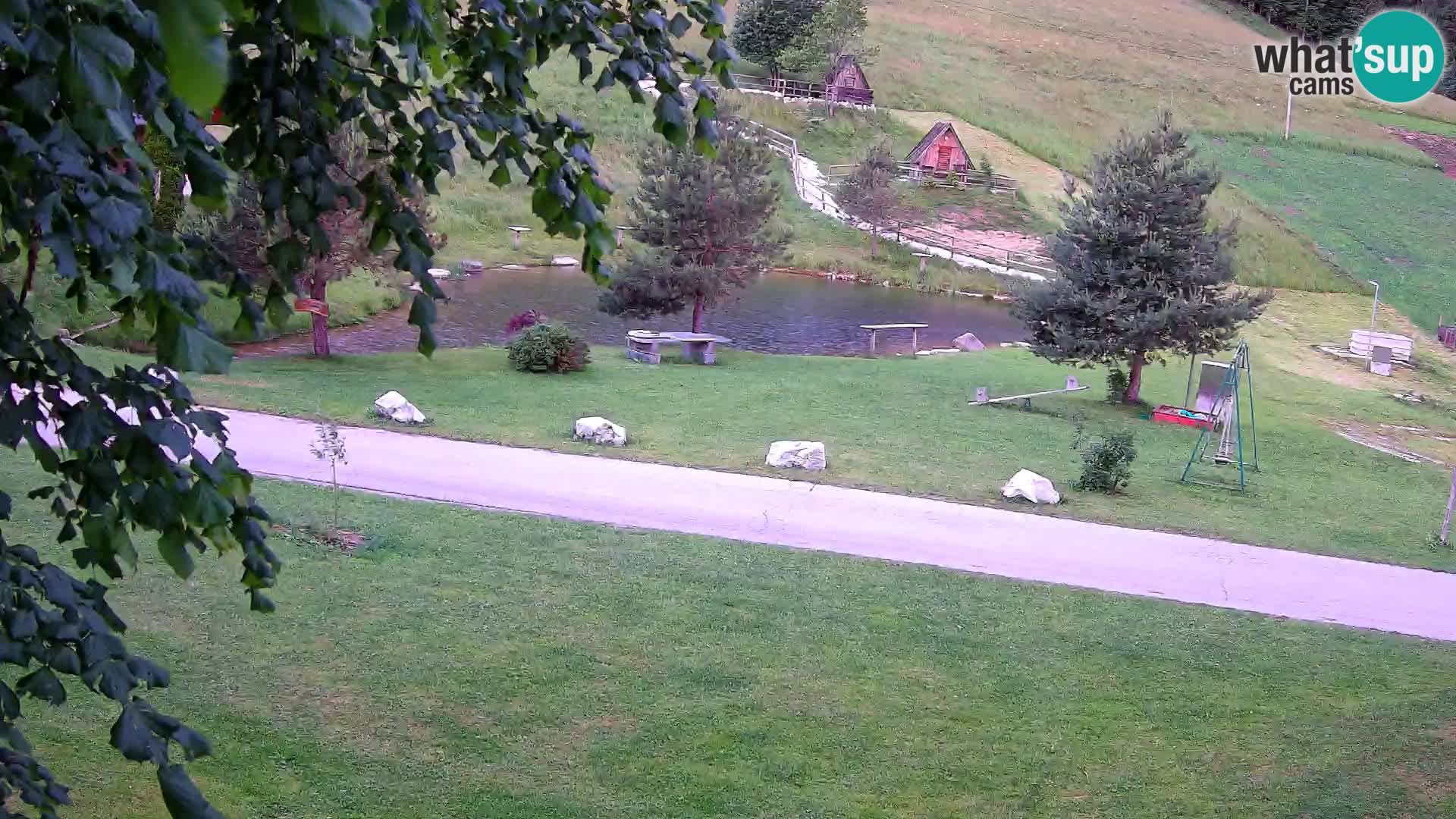 Teich auf dem Bauernhof Pr’Vrhovc | Webkamera