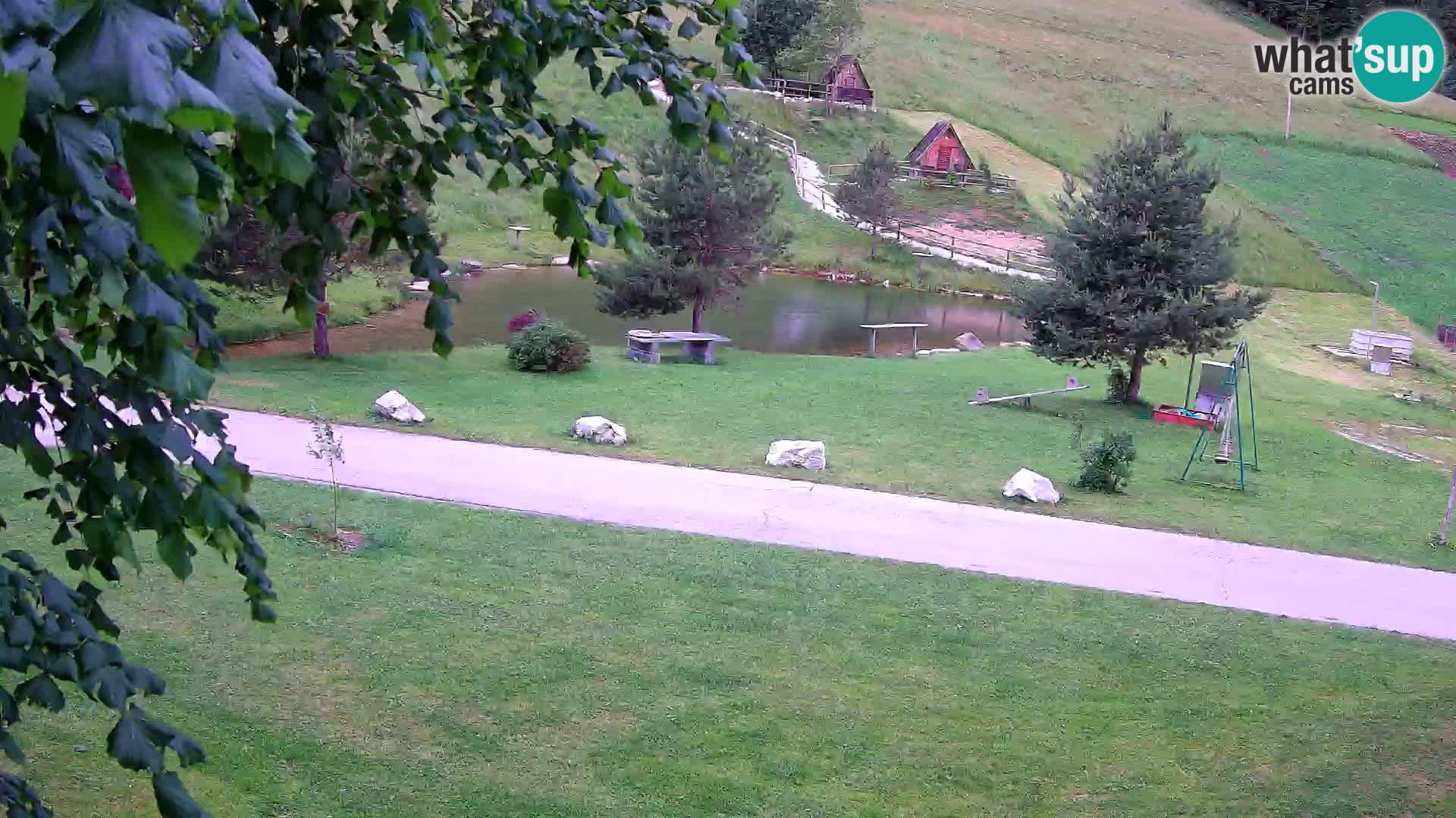 Pond at the Pr’Vrhovc Homestead Webcam