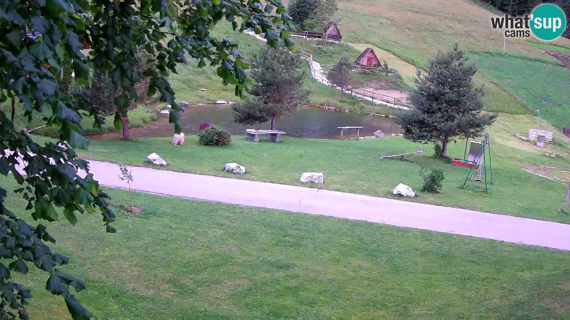 Étang à la ferme Pr’Vrhovc | Caméra en direct