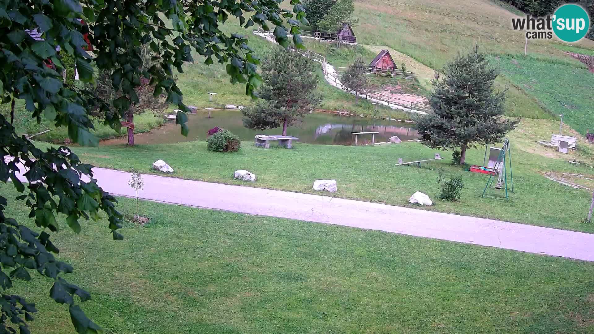 Teich auf dem Bauernhof Pr’Vrhovc | Webkamera