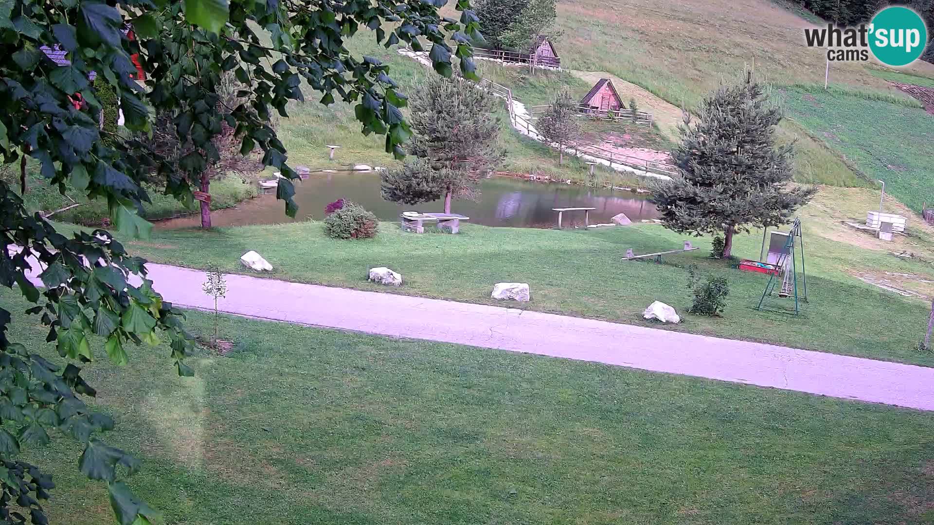Ribnik na Domačiji Pr’Vrhovc | Spletna kamera