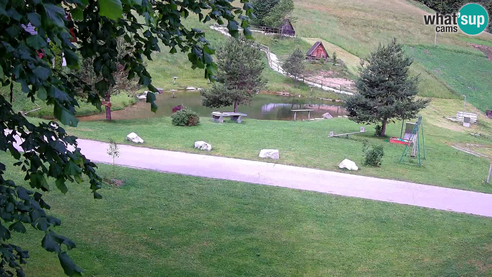 Teich auf dem Bauernhof Pr’Vrhovc | Webkamera