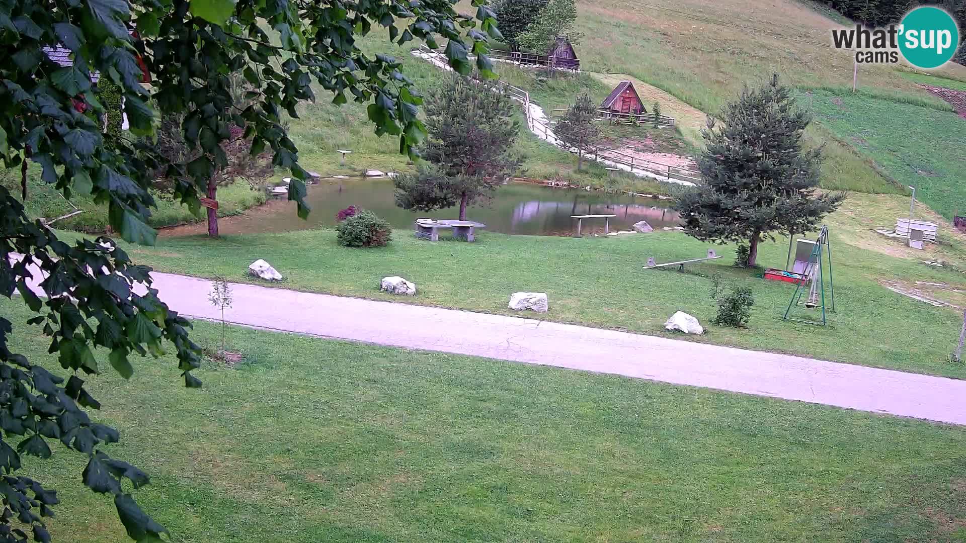 Pond at the Pr’Vrhovc Homestead Webcam