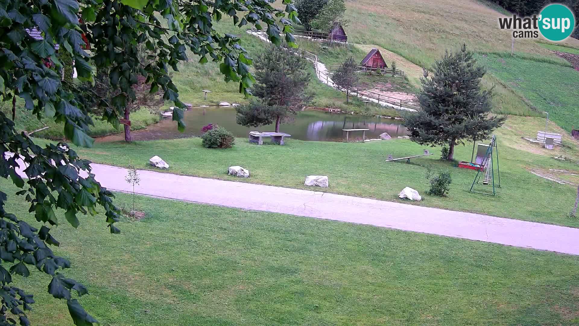 Pond at the Pr’Vrhovc Homestead Webcam