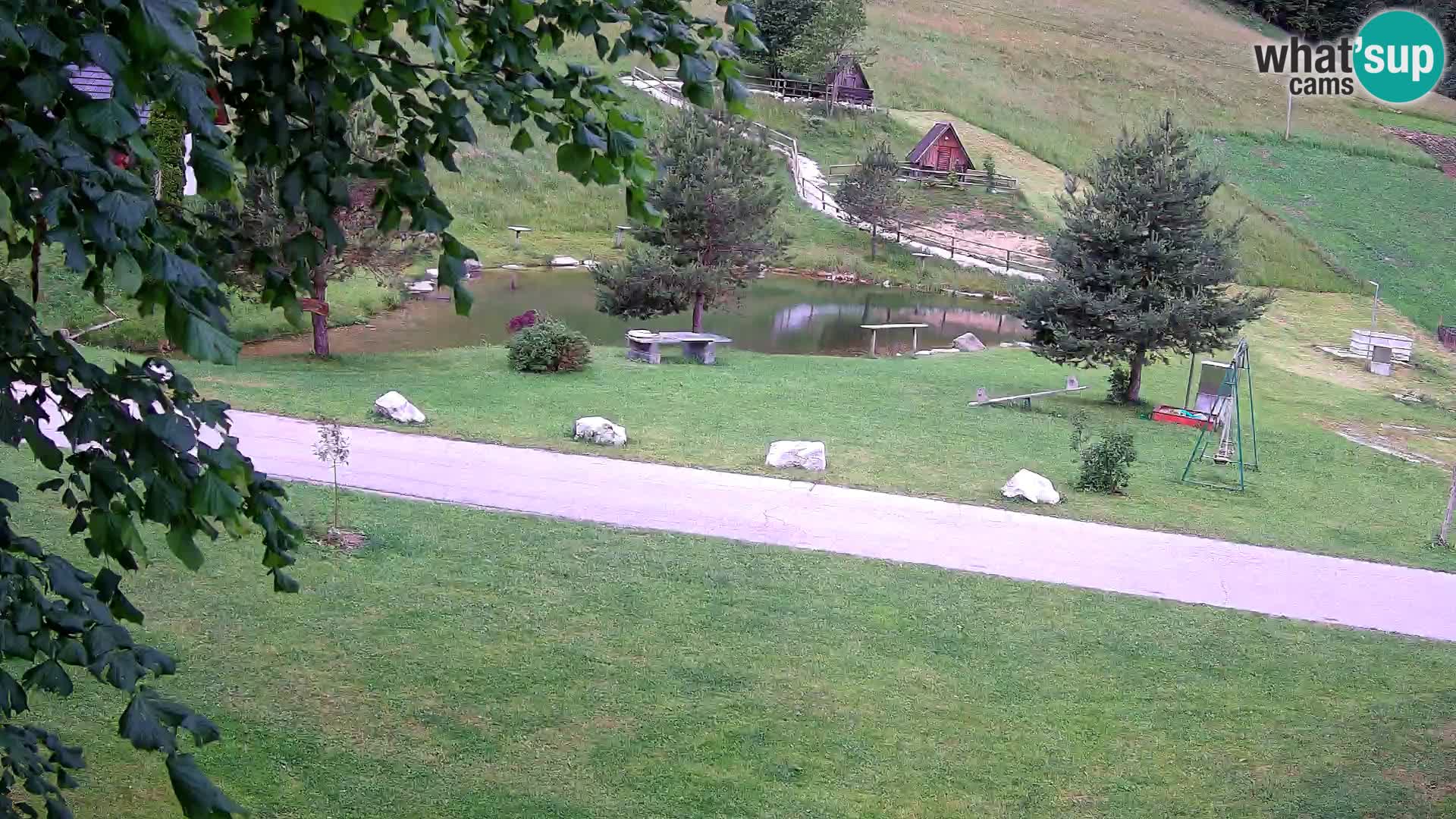 Teich auf dem Bauernhof Pr’Vrhovc | Webkamera