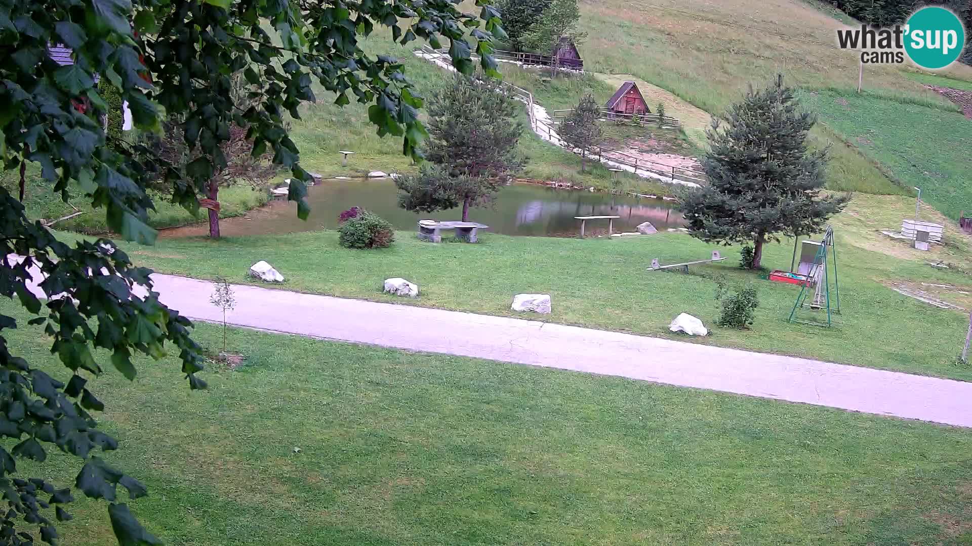 Pond at the Pr’Vrhovc Homestead Webcam