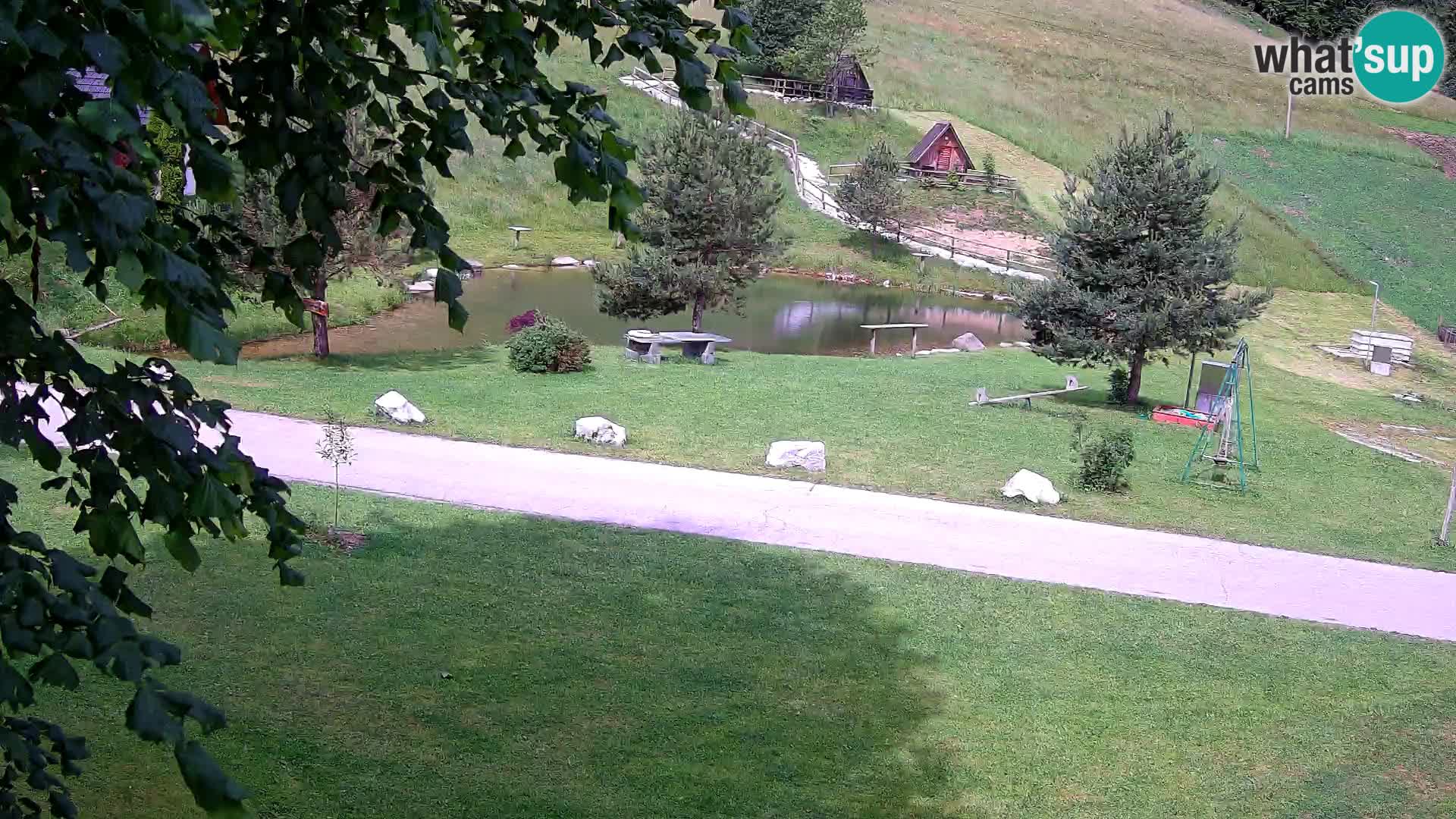 Stagno presso la Fattoria turistica Pr’Vrhovc | webcam in diretta