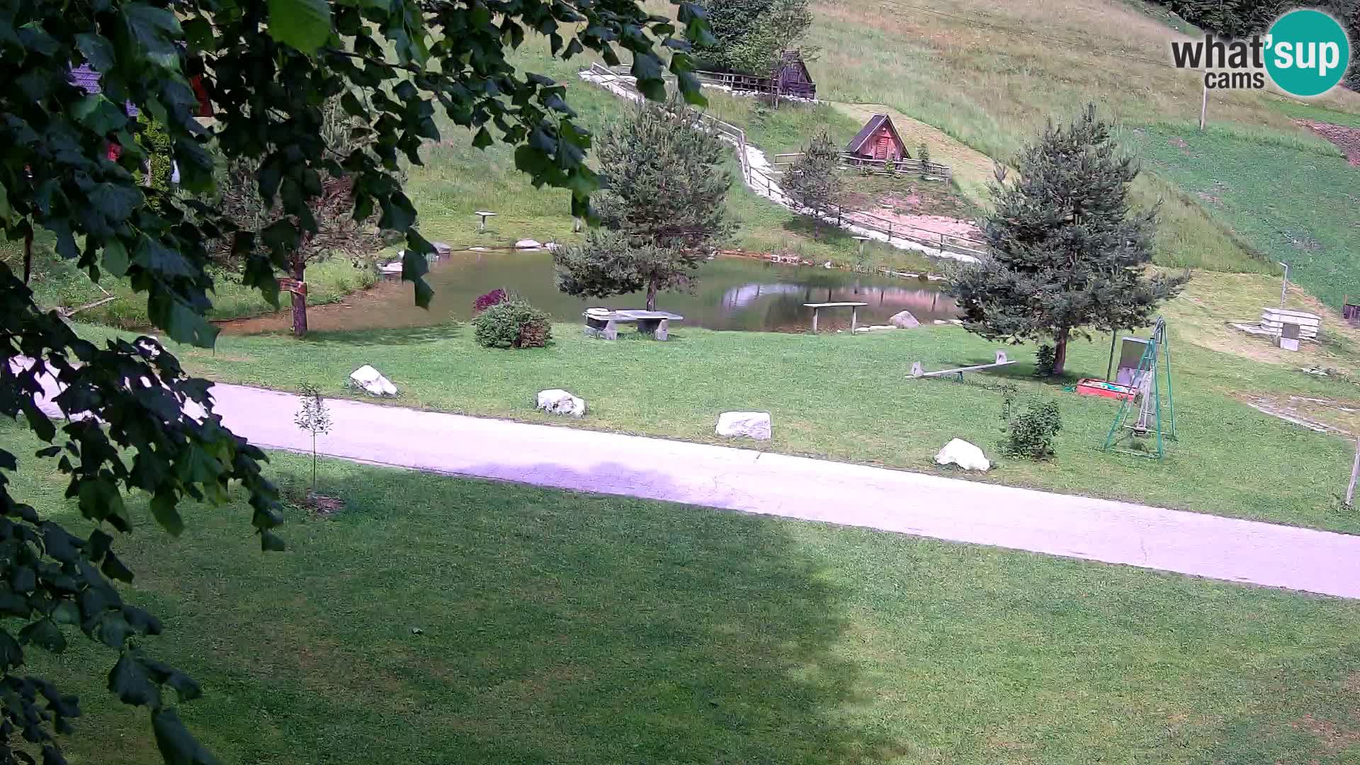 Stagno presso la Fattoria turistica Pr’Vrhovc | webcam in diretta