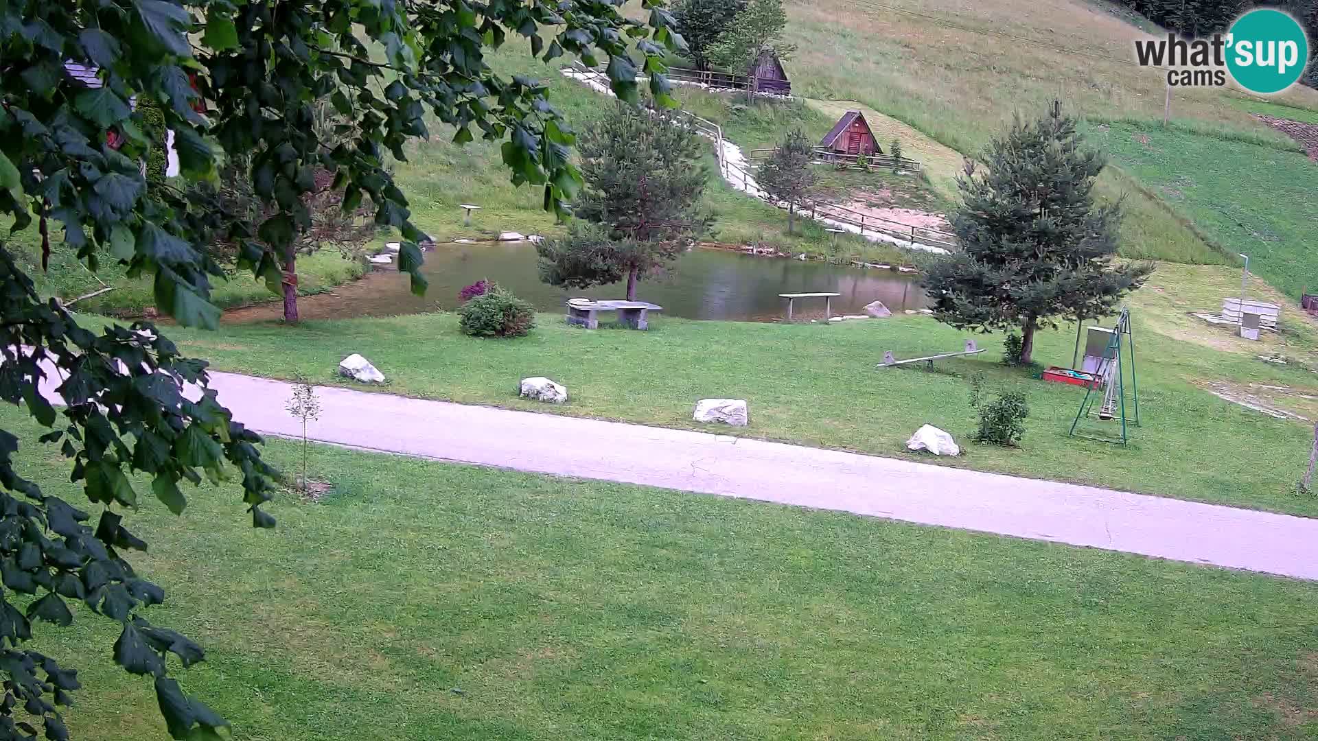 Stagno presso la Fattoria turistica Pr’Vrhovc | webcam in diretta