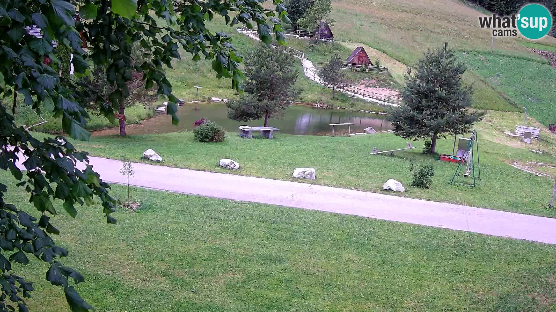 Étang à la ferme Pr’Vrhovc | Caméra en direct