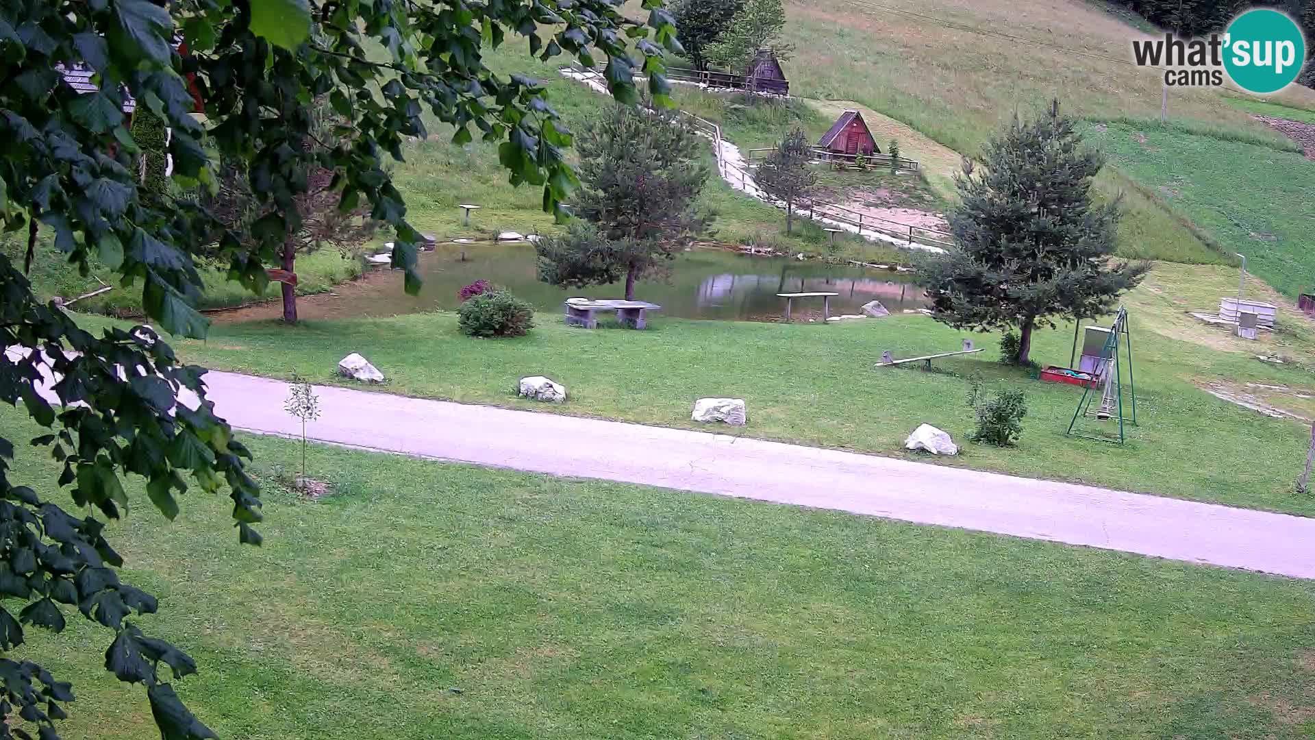 Pond at the Pr’Vrhovc Homestead Webcam