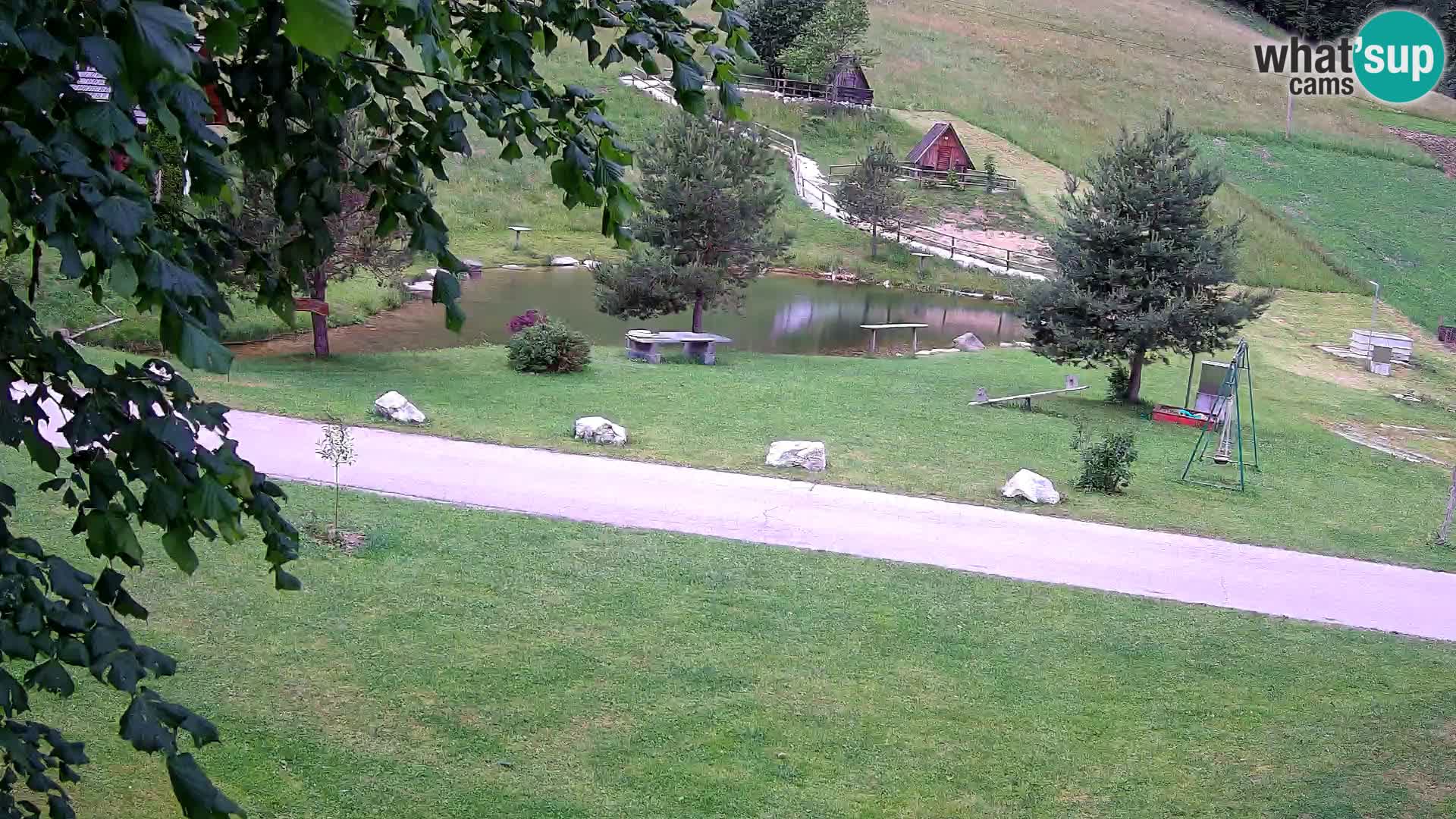 Pond at the Pr’Vrhovc Homestead Webcam