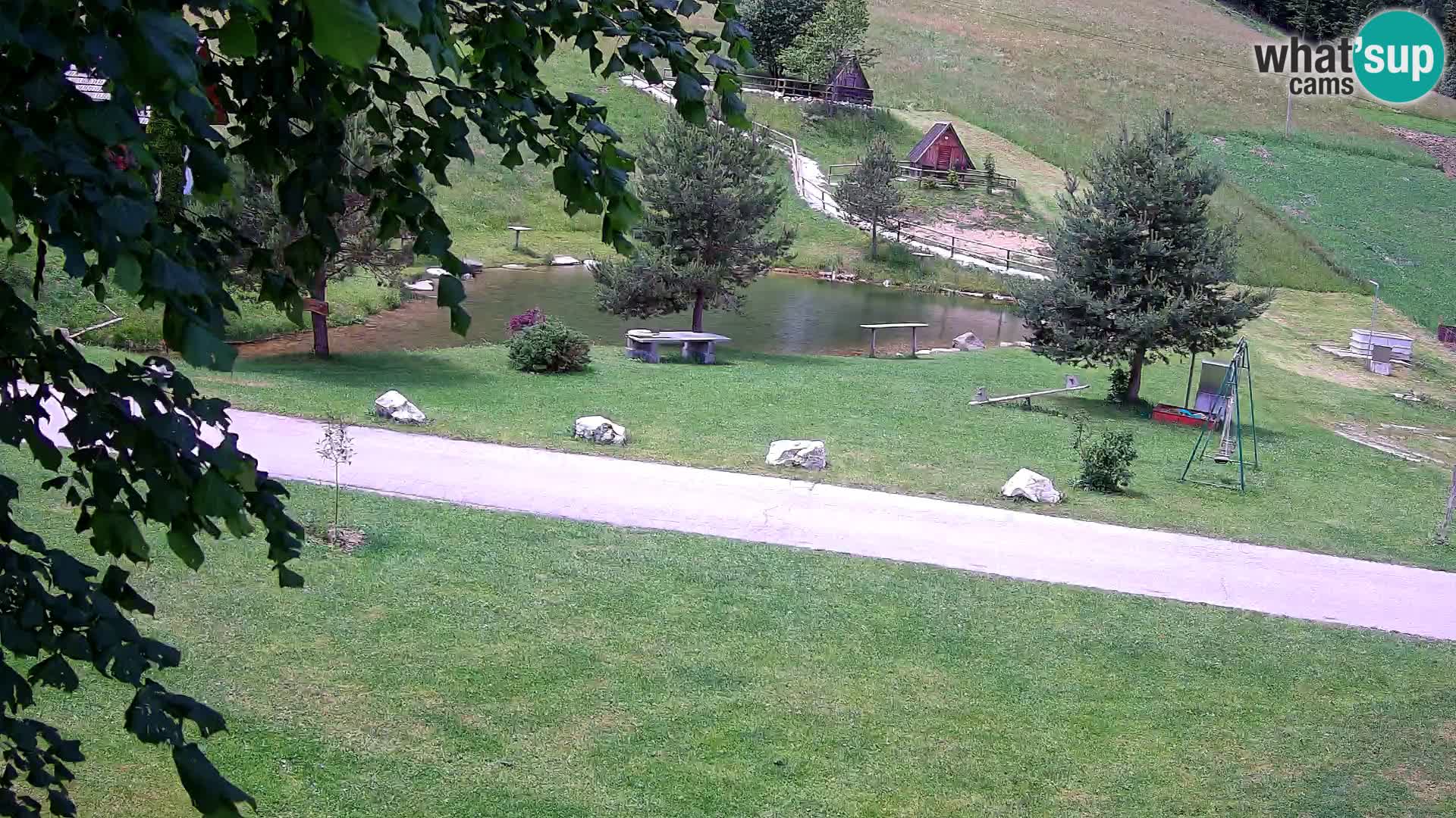 Pond at the Pr’Vrhovc Homestead Webcam
