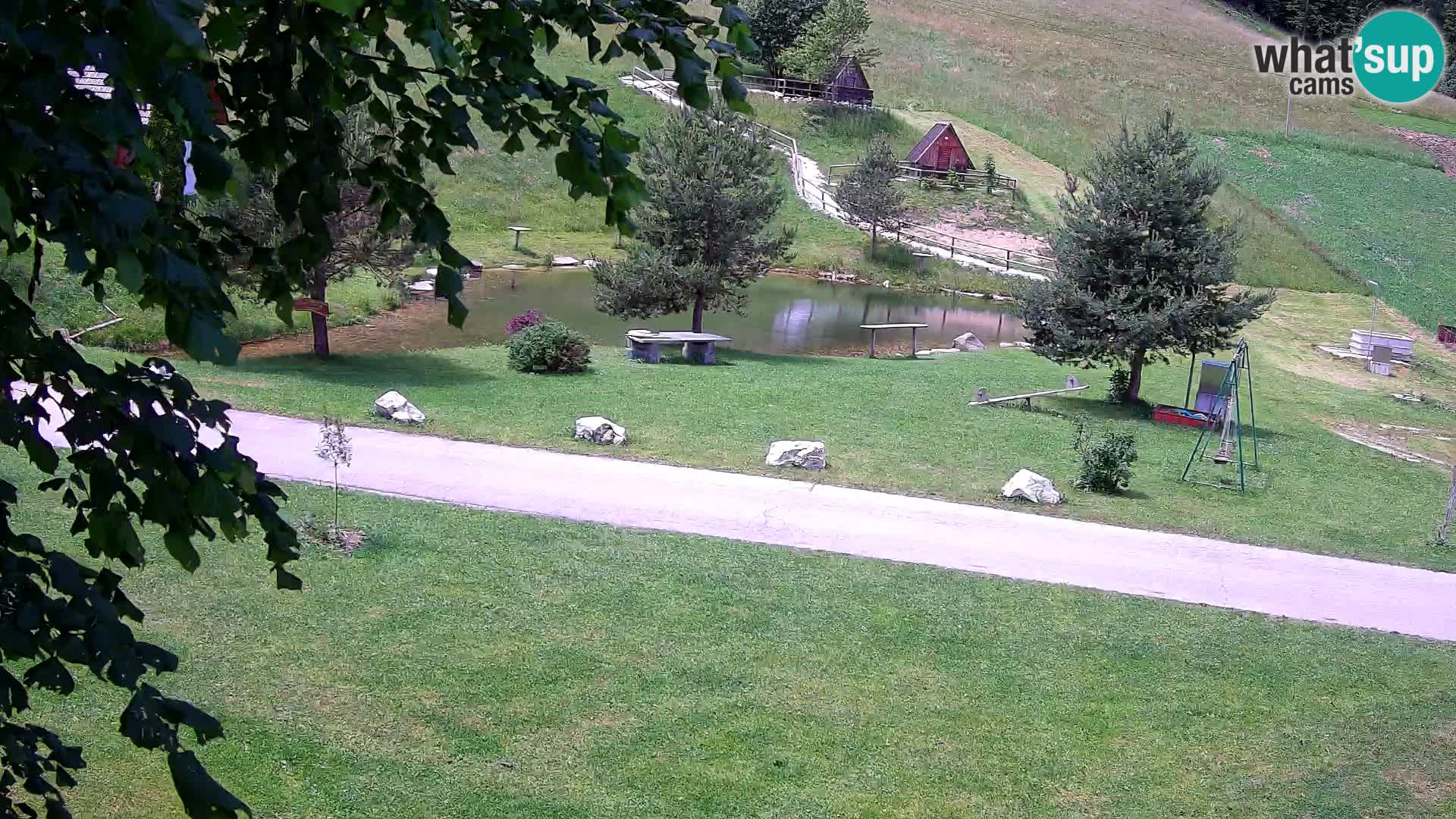 Stagno presso la Fattoria turistica Pr’Vrhovc | webcam in diretta
