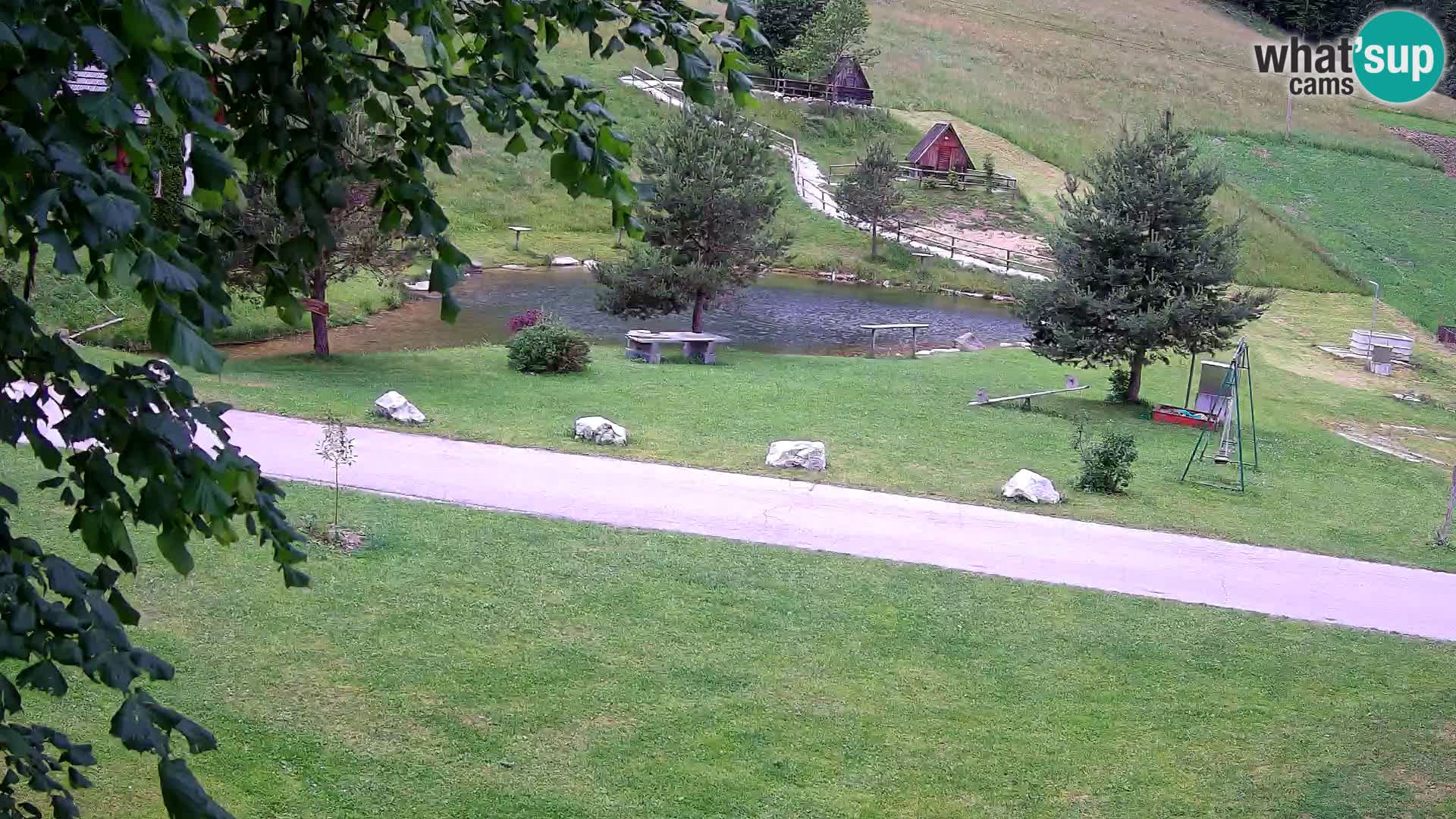Stagno presso la Fattoria turistica Pr’Vrhovc | webcam in diretta