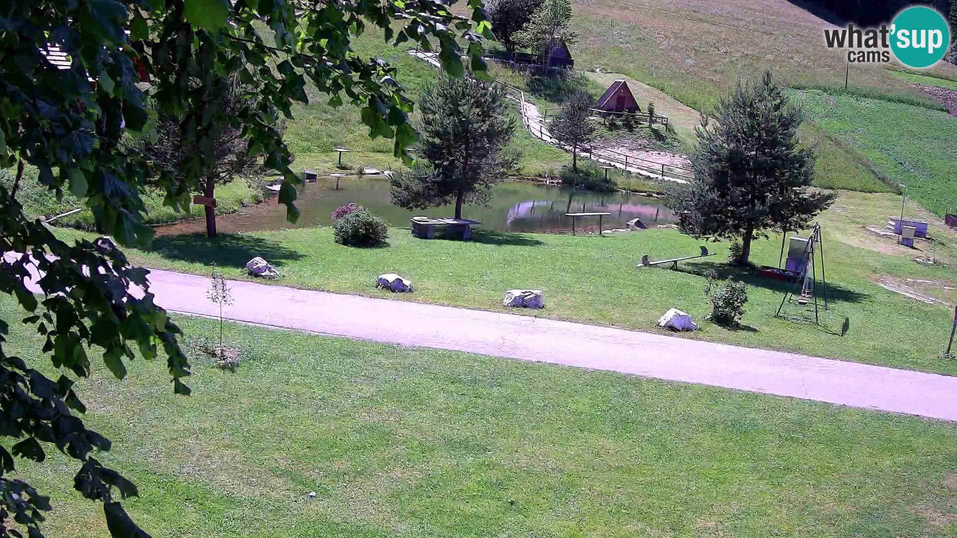 Ribnjak na domaćinstvu Pr’Vrhovc | Web kamera