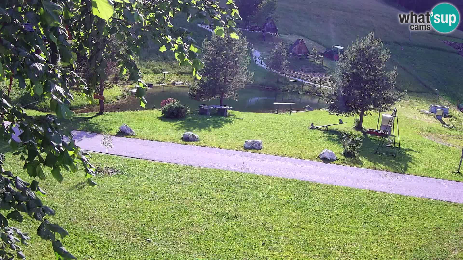 Pond at the Pr’Vrhovc Homestead Webcam