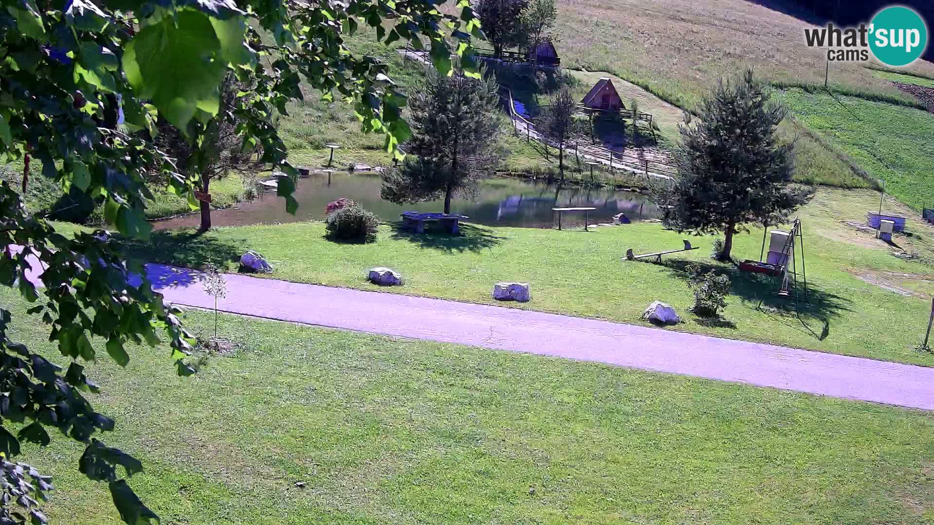 Étang à la ferme Pr’Vrhovc | Caméra en direct