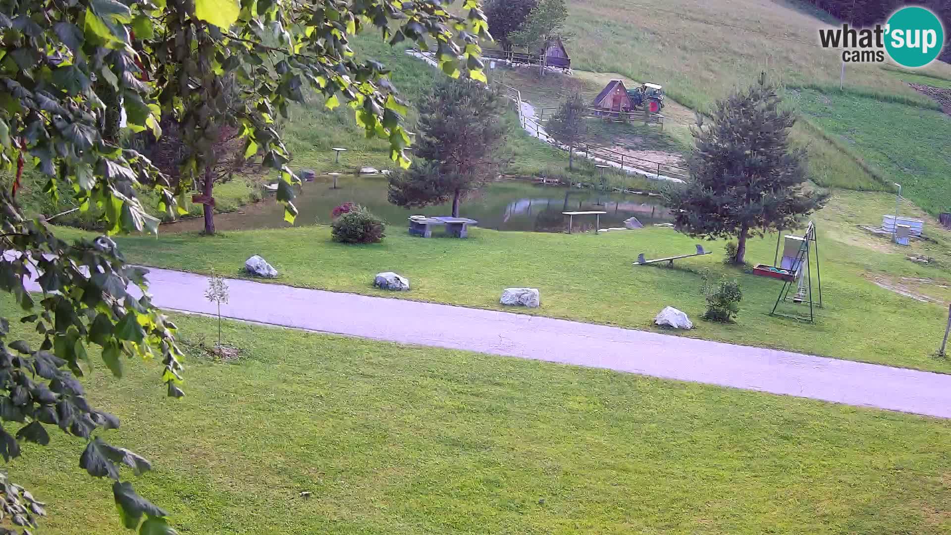 Pond at the Pr’Vrhovc Homestead Webcam