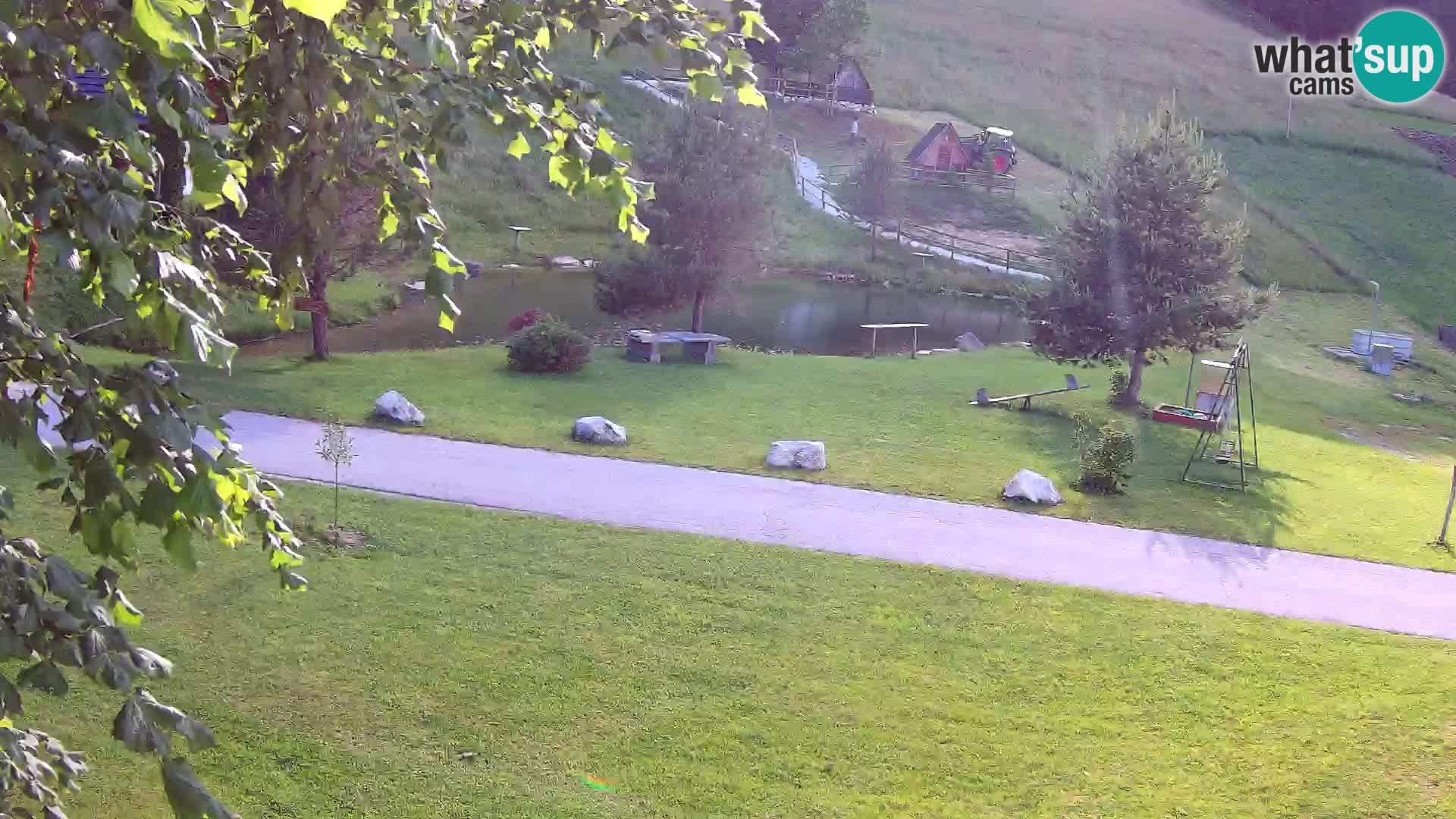 Pond at the Pr’Vrhovc Homestead Webcam