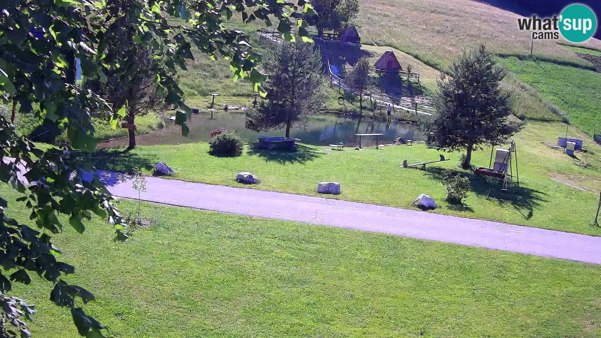 Pond at the Pr’Vrhovc Homestead Webcam