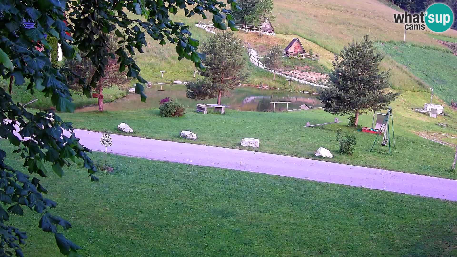 Teich auf dem Bauernhof Pr’Vrhovc | Webkamera