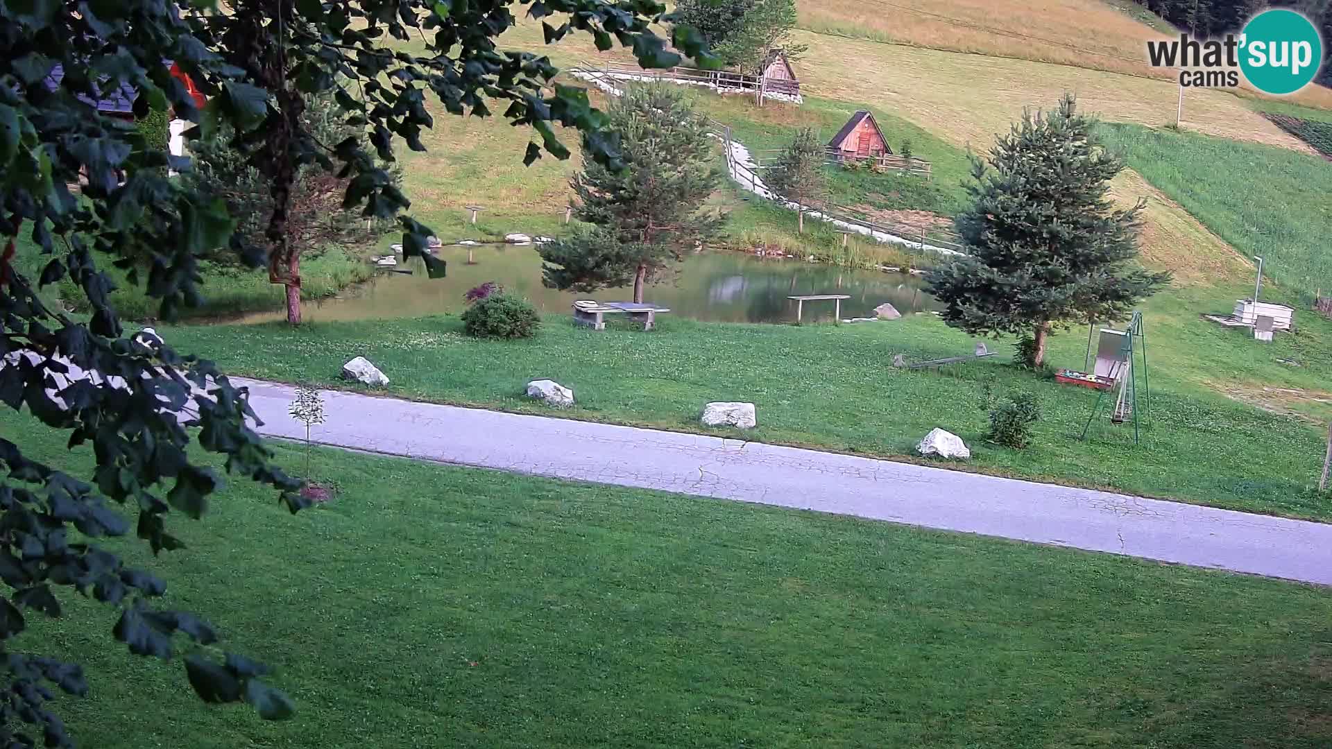 Stagno presso la Fattoria turistica Pr’Vrhovc | webcam in diretta