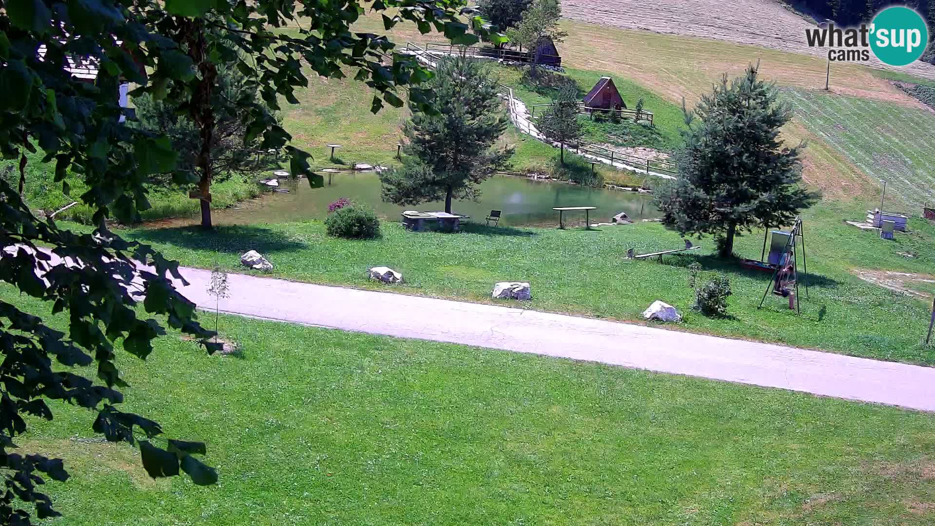 Ribnjak na domaćinstvu Pr’Vrhovc | Web kamera