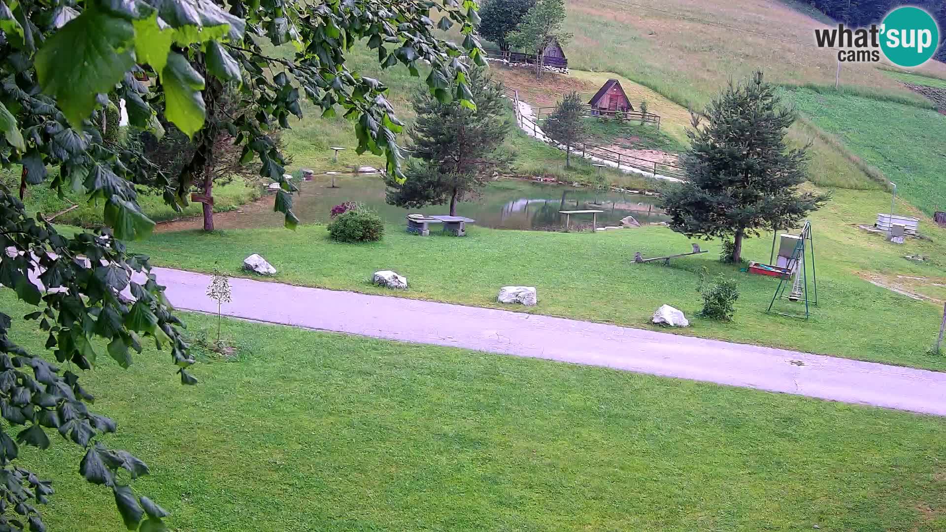 Pond at the Pr’Vrhovc Homestead Webcam