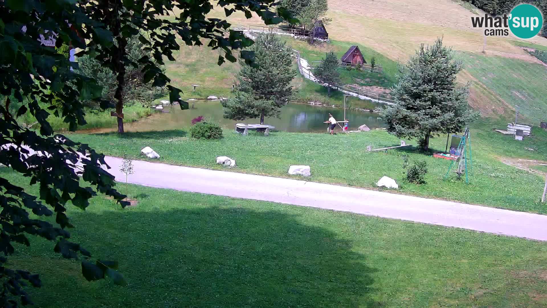 Stagno presso la Fattoria turistica Pr’Vrhovc | webcam in diretta