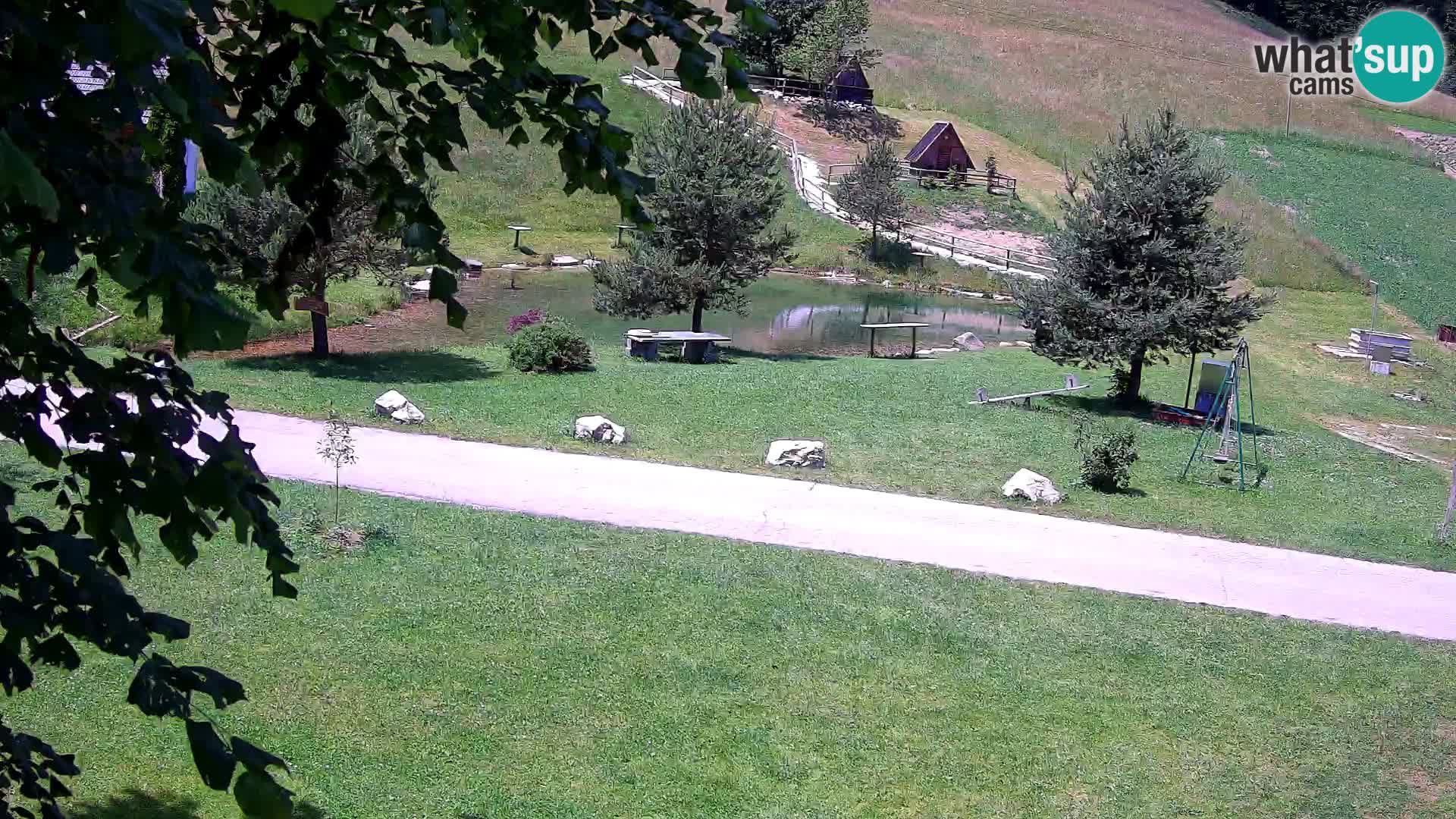 Pond at the Pr’Vrhovc Homestead Webcam