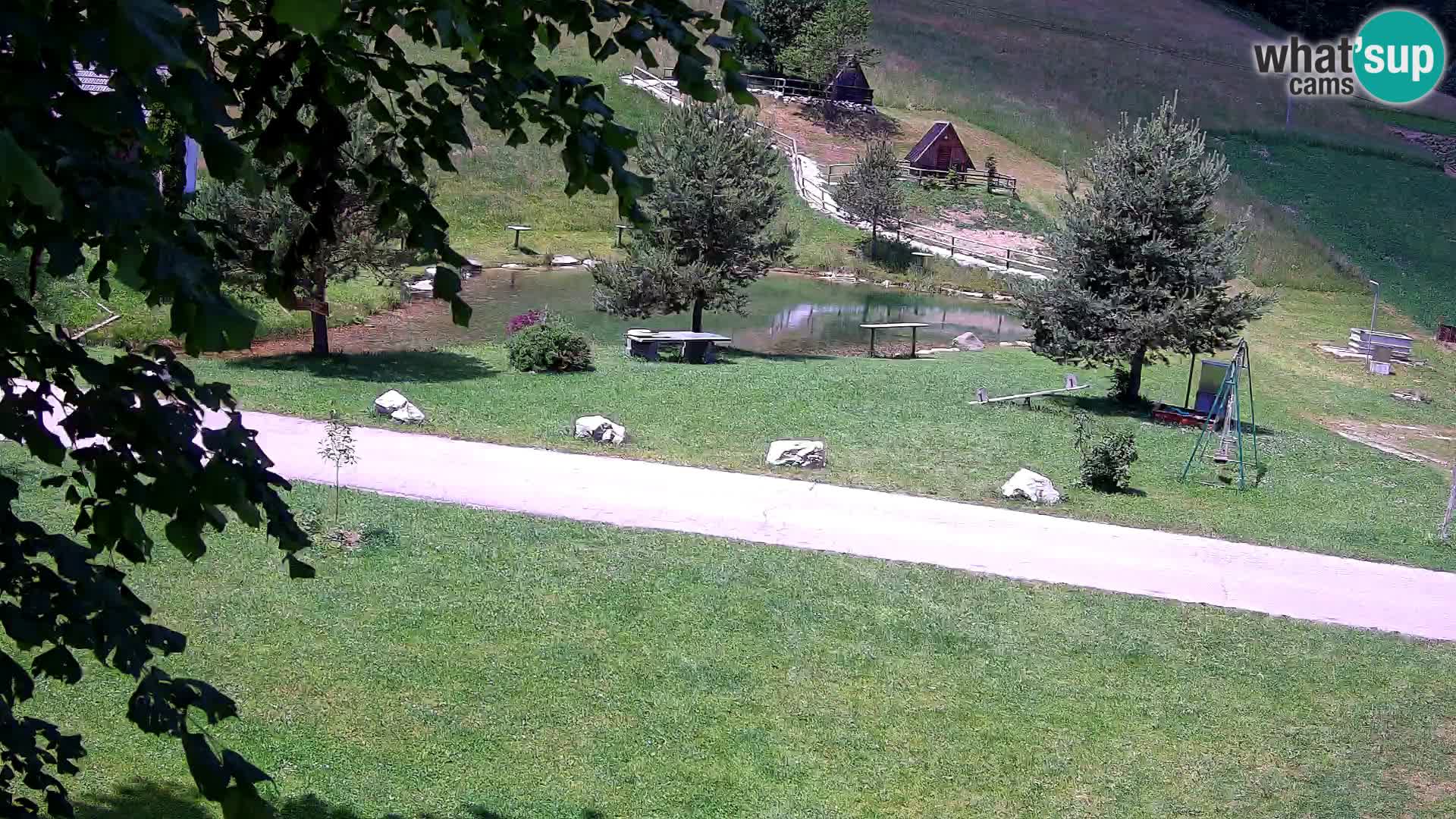 Pond at the Pr’Vrhovc Homestead Webcam